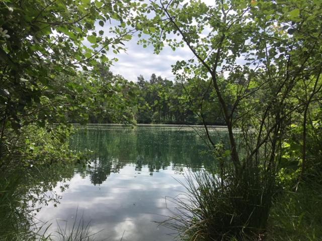 AuxiliumWellness Get Back to Serenity