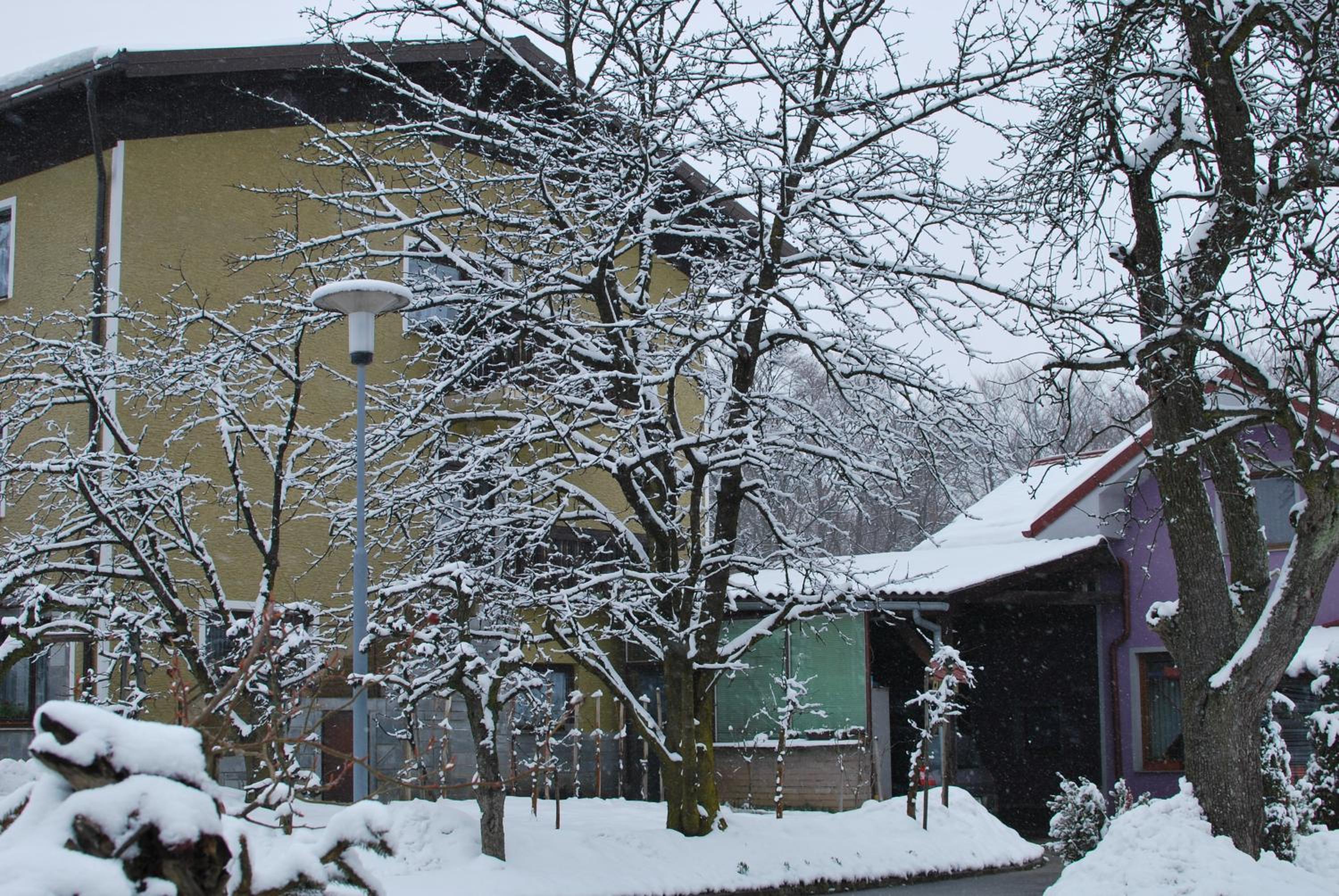 Photo 6