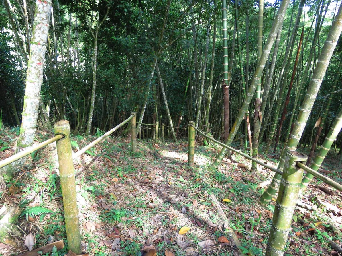 children's play area