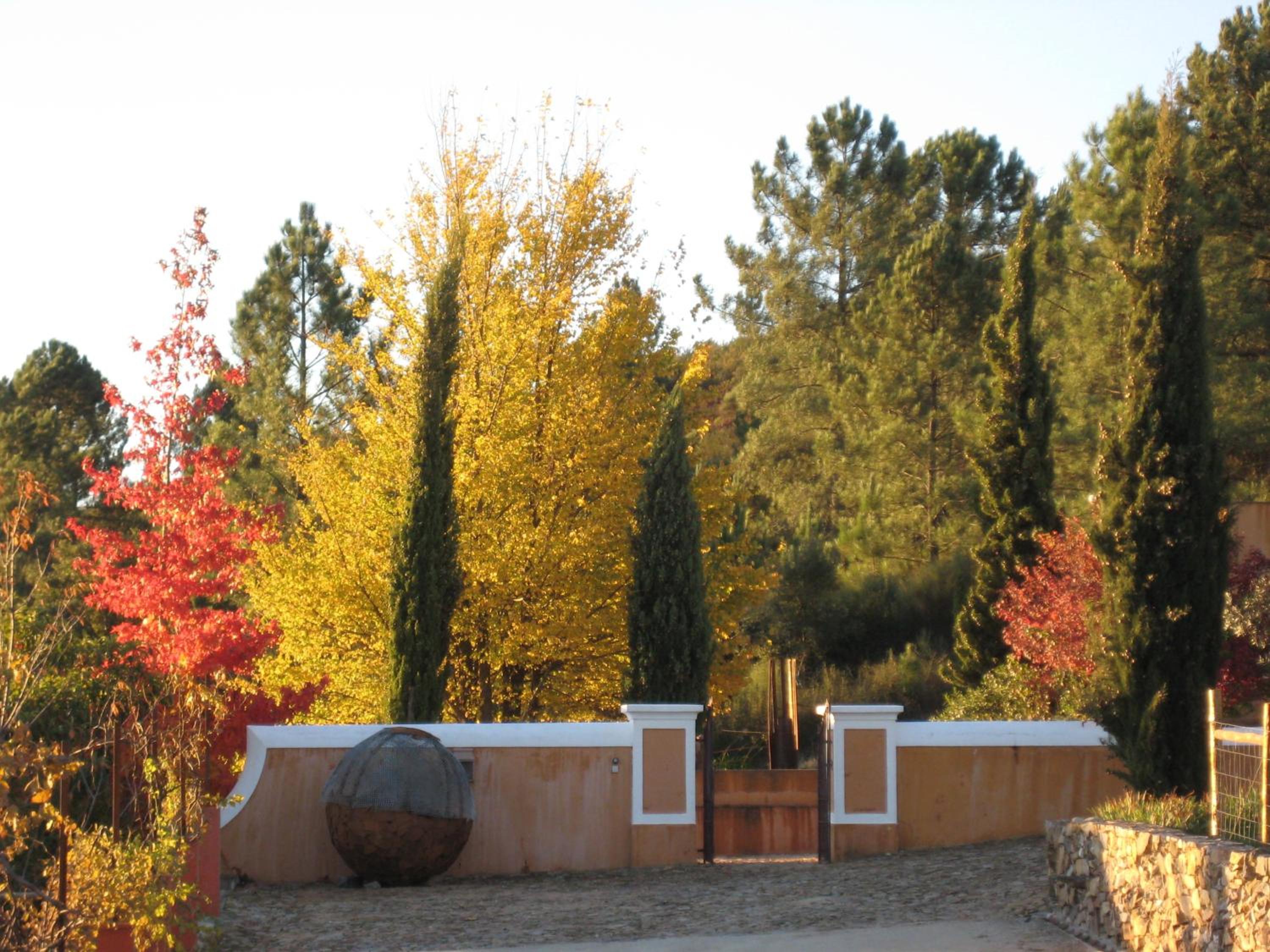 Photo 49