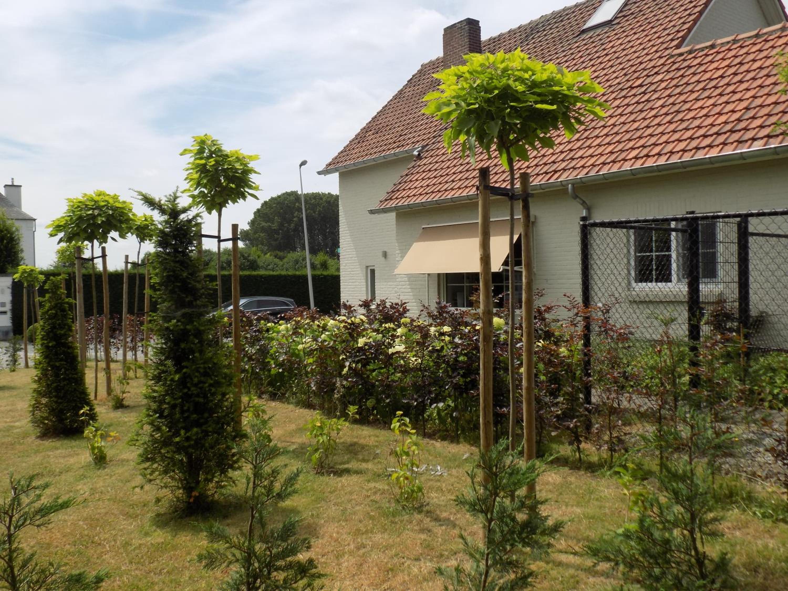Villa Mooi Maasland