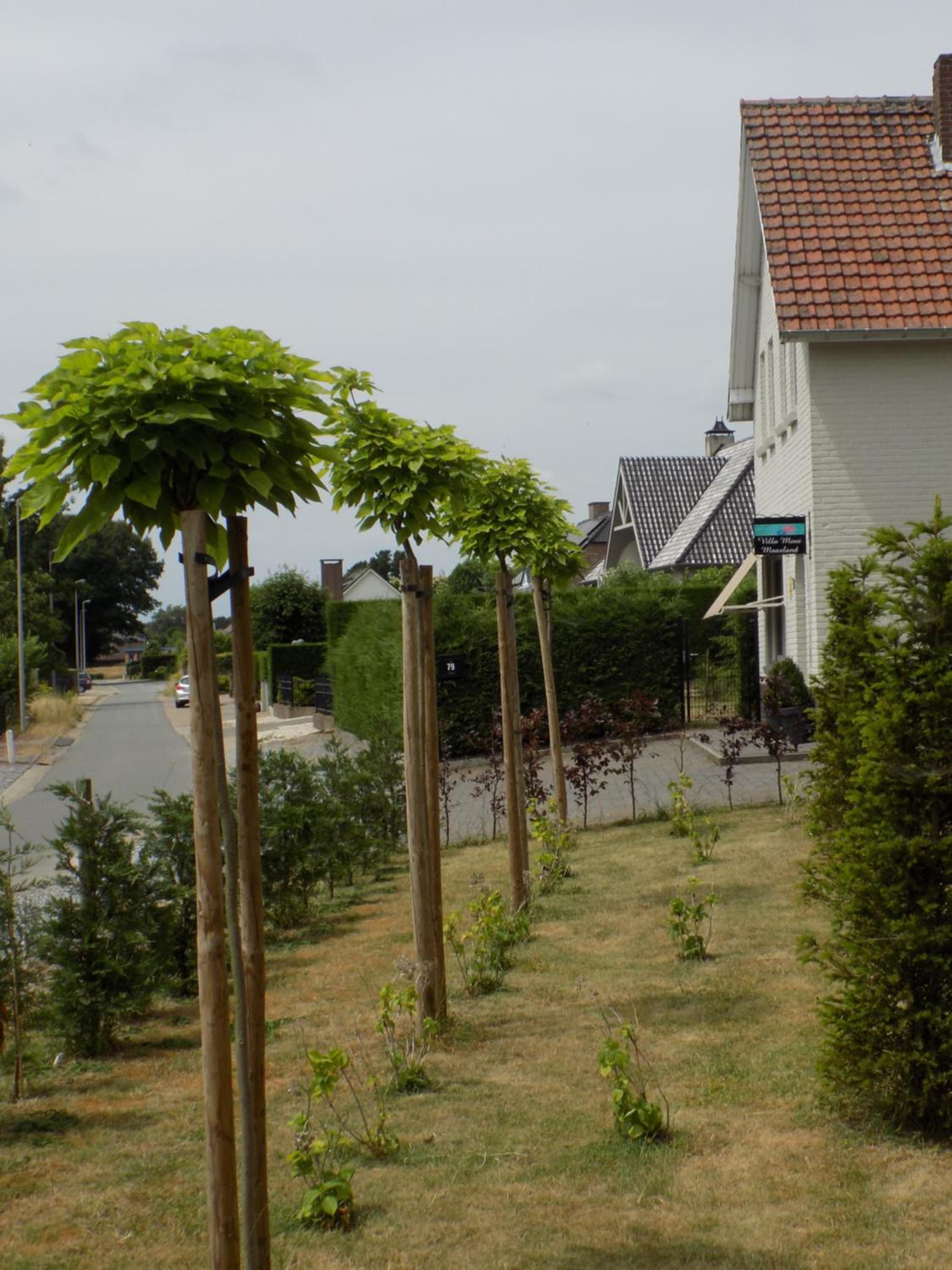Villa Mooi Maasland