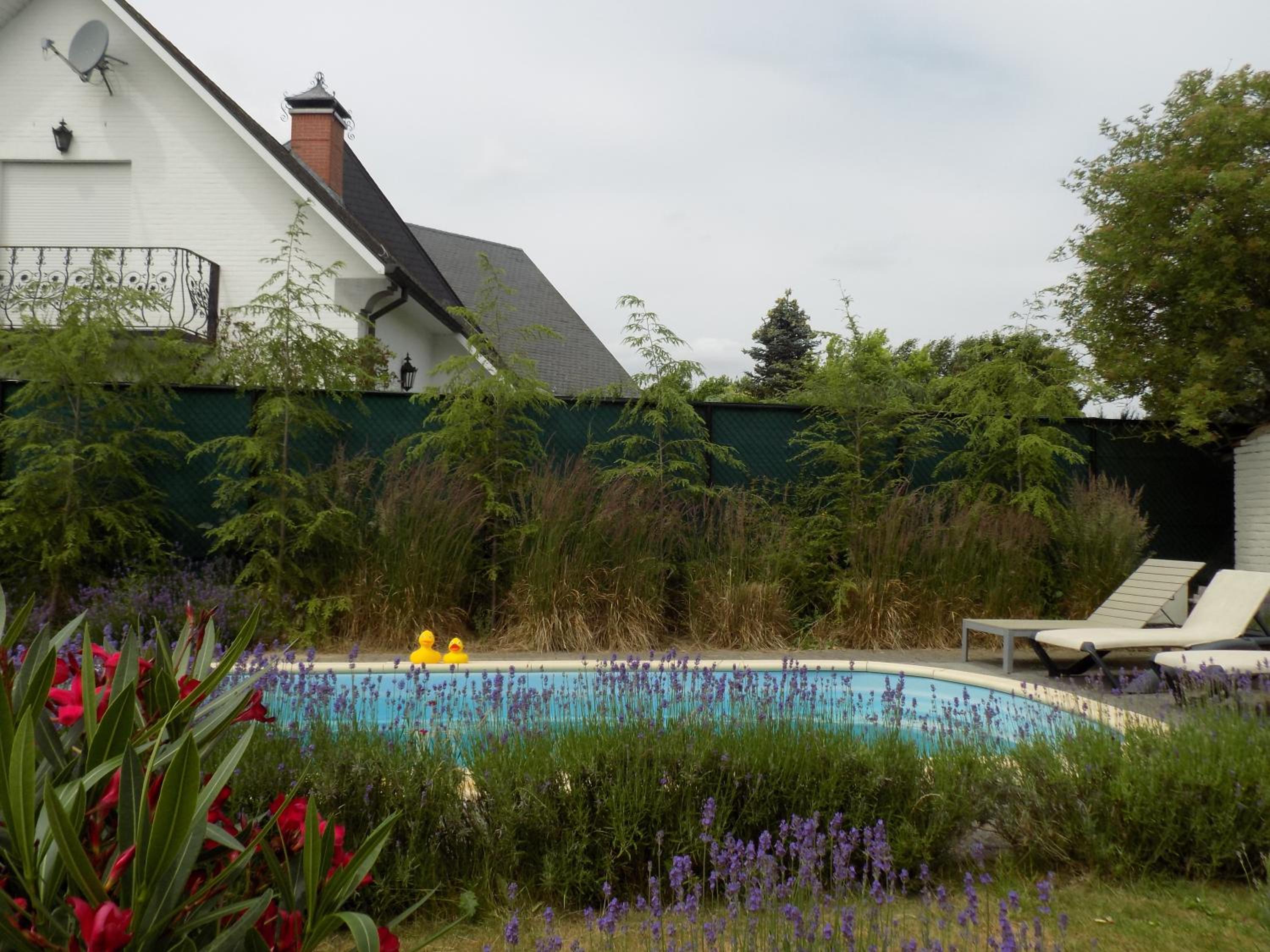 Villa Mooi Maasland