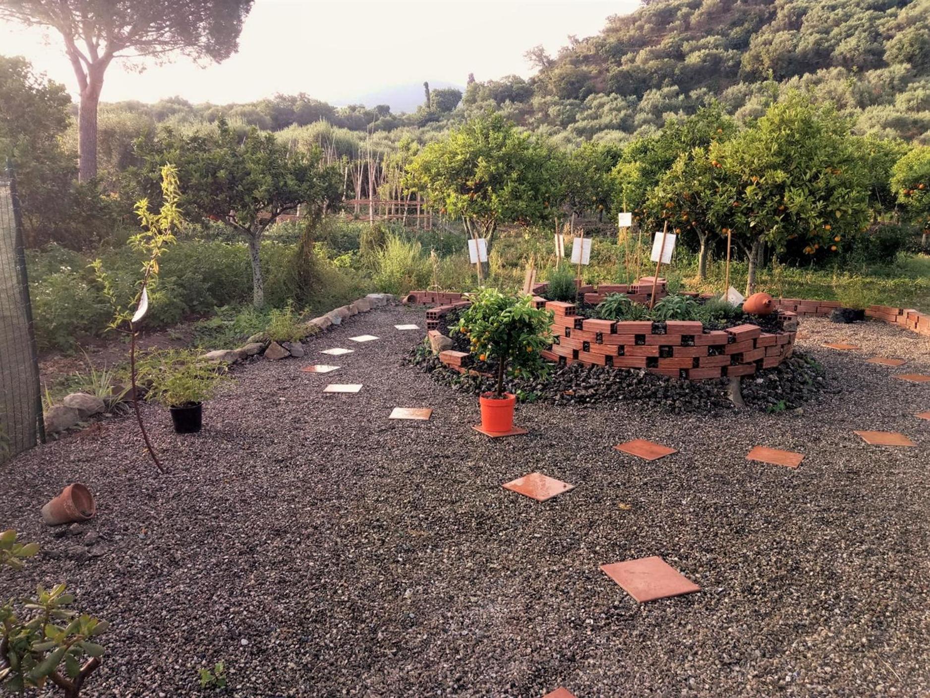 Photo 13