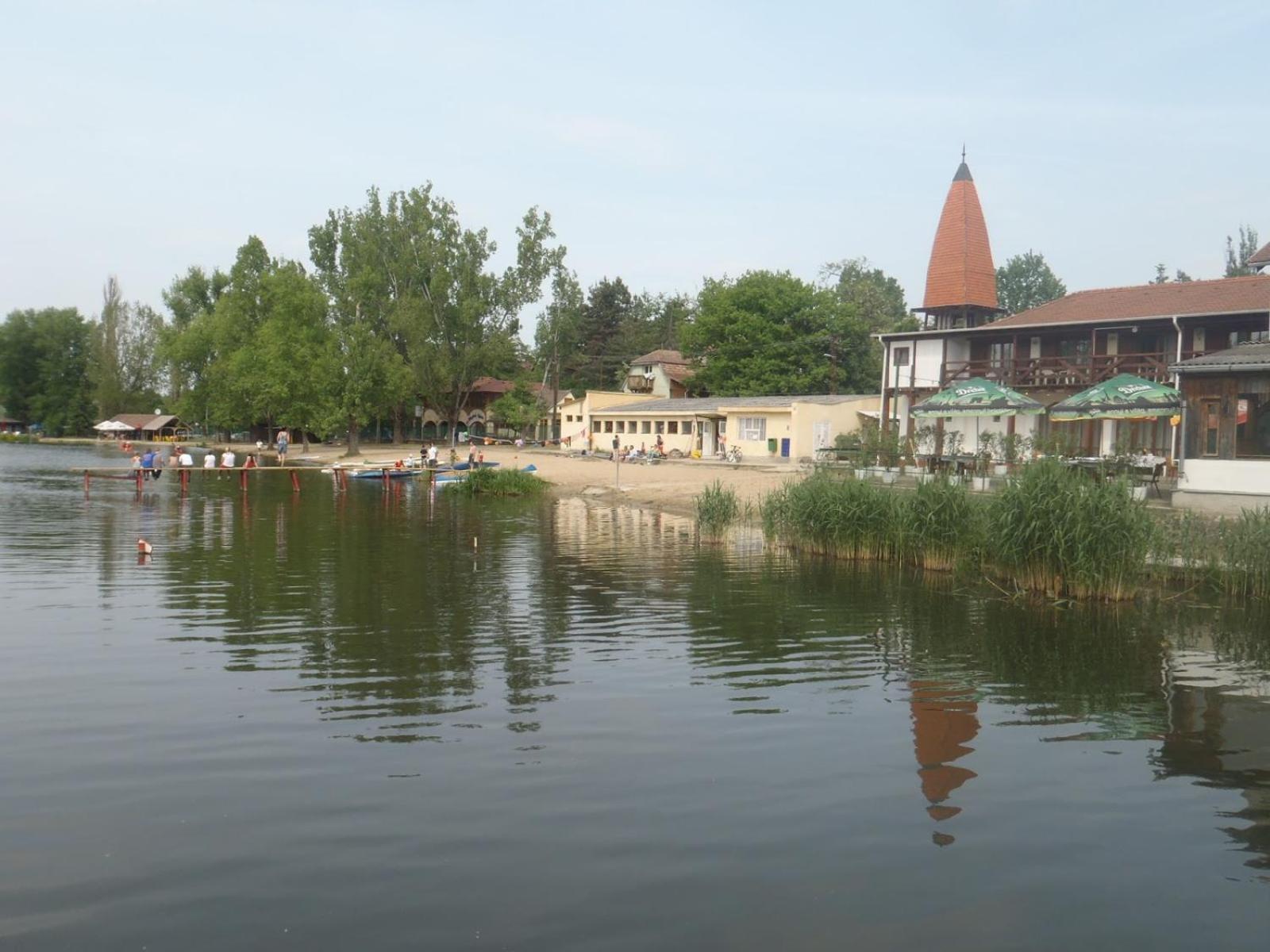 Photo 41