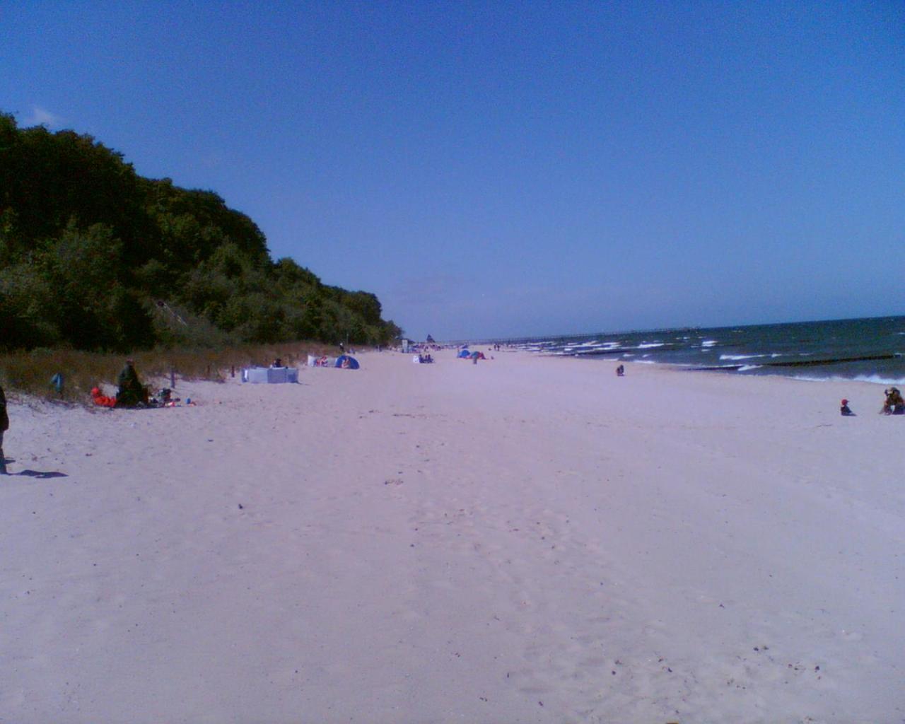 Photo 49