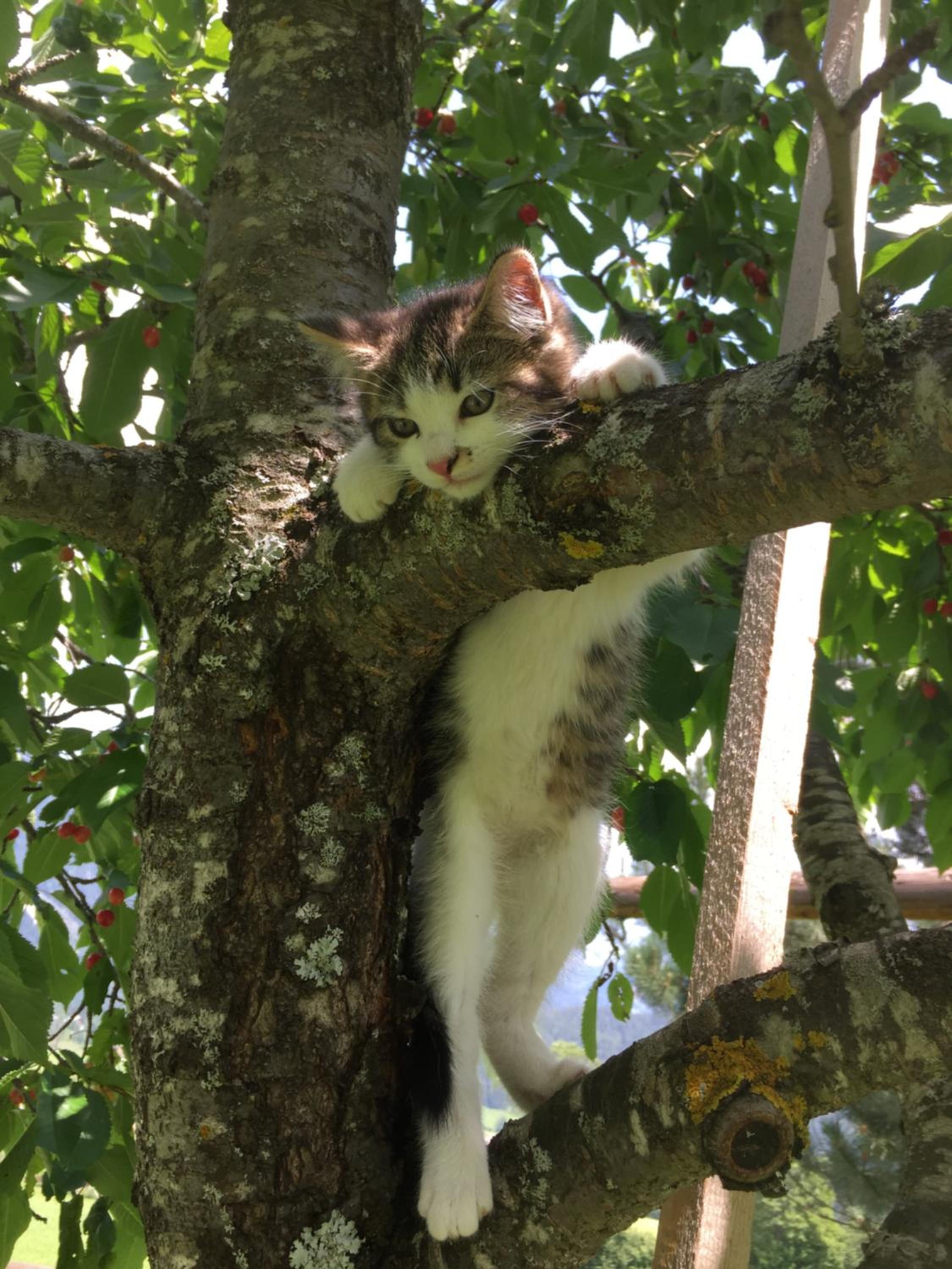 Photo 16