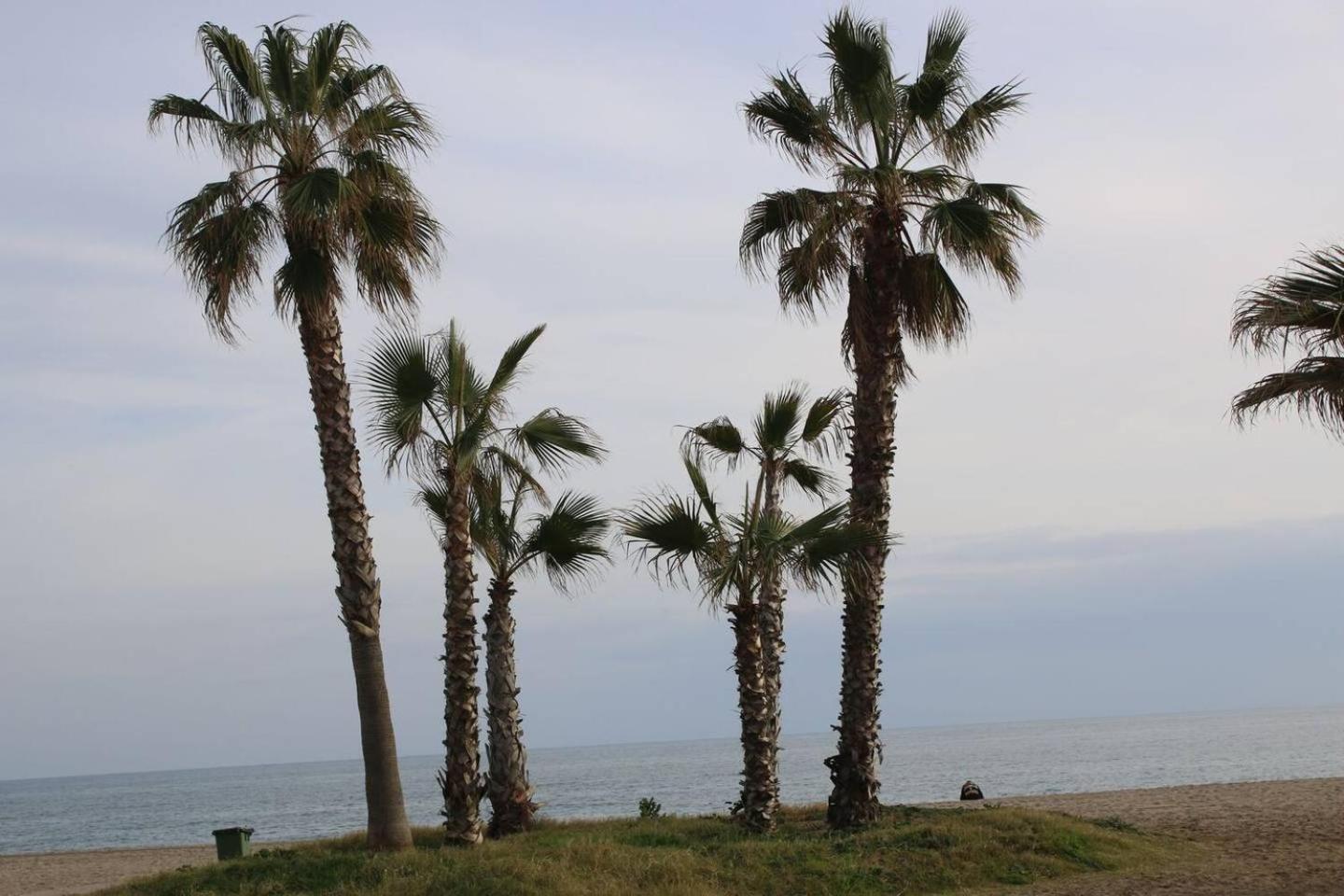 Apartamento en Los Patios de Santa Maria Golf