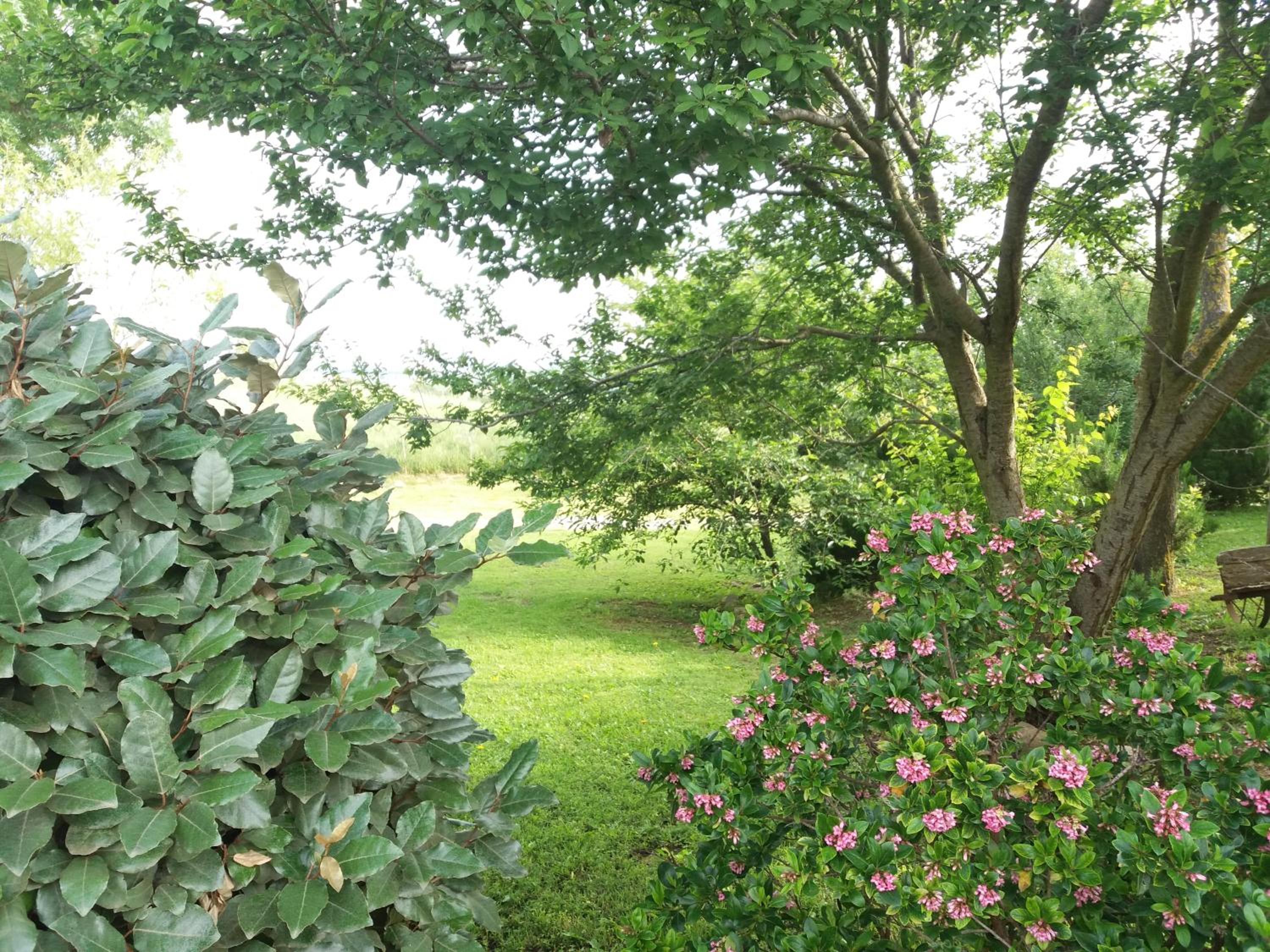 Photo 74