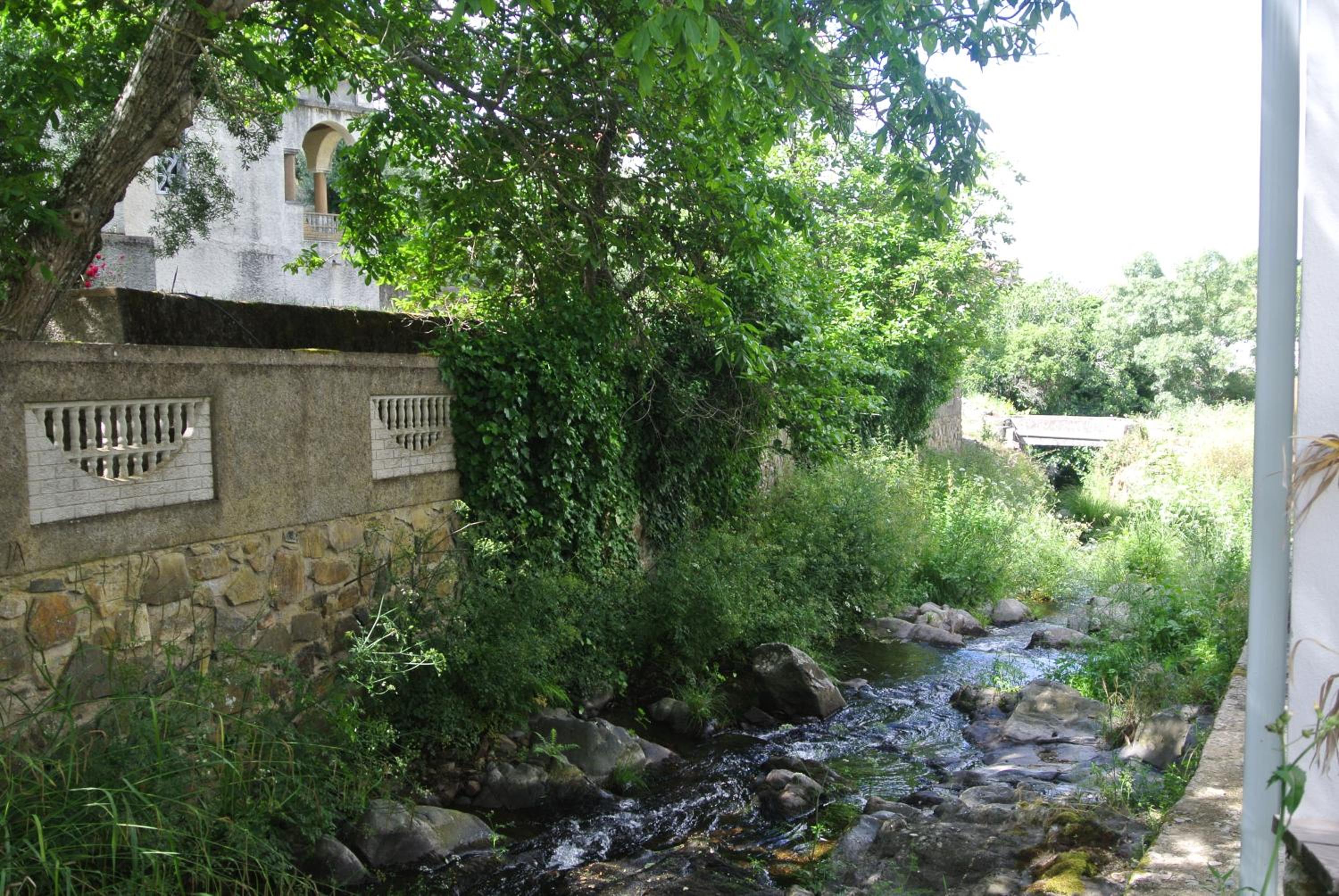 Photo 85