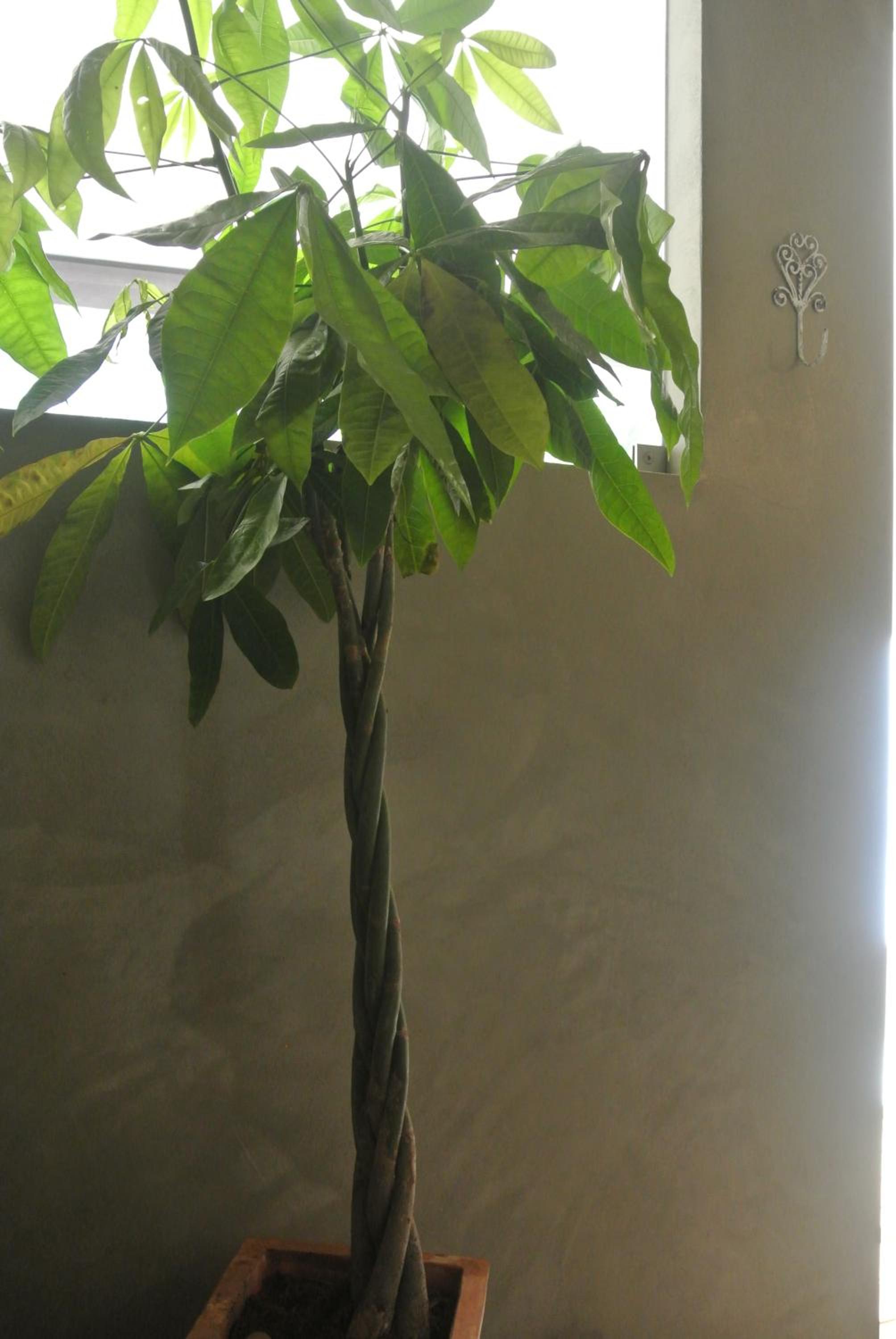 Photo 48
