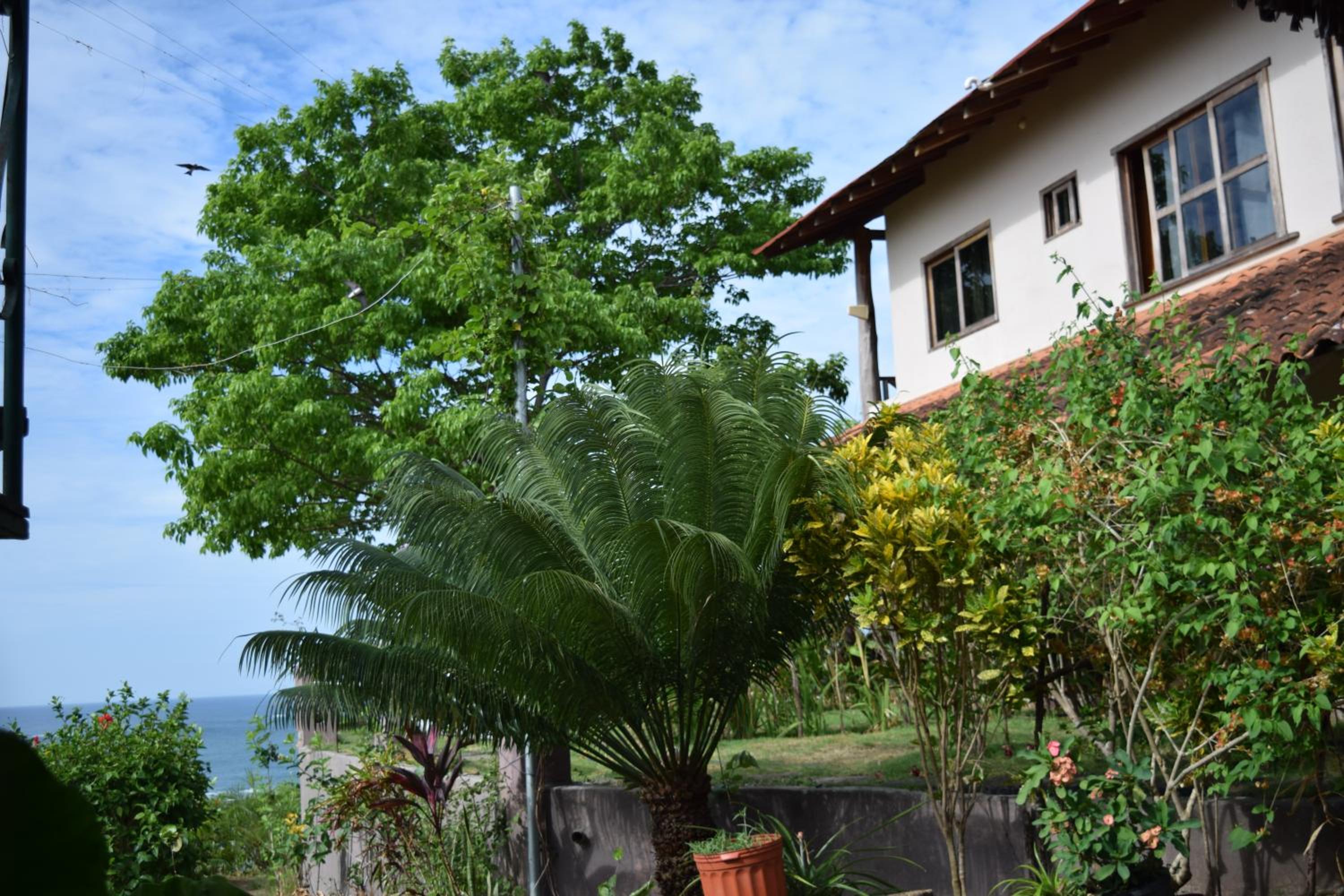 Hotel Kambutaleko - Property Image 12