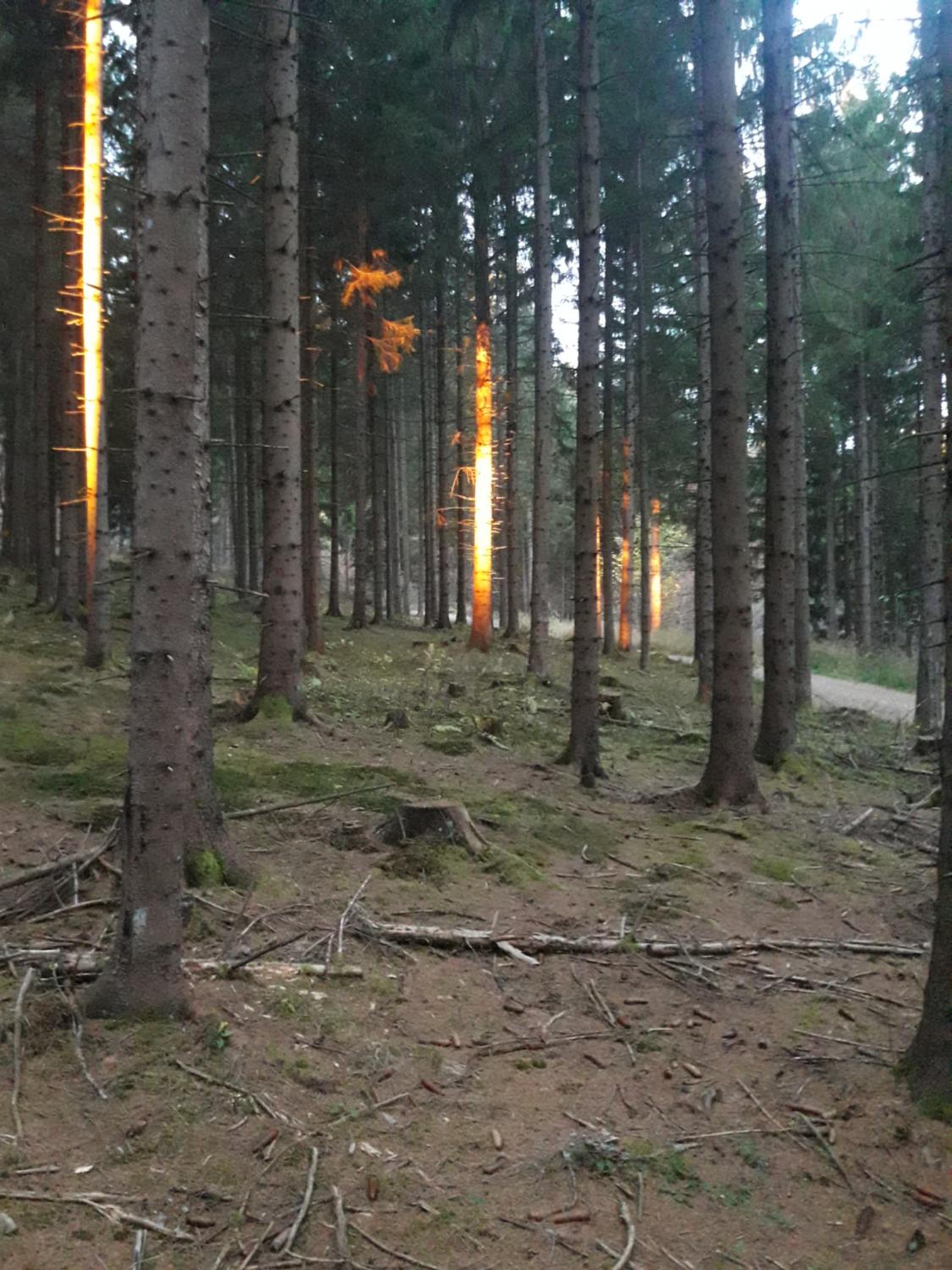 Ferienhof Alte Post