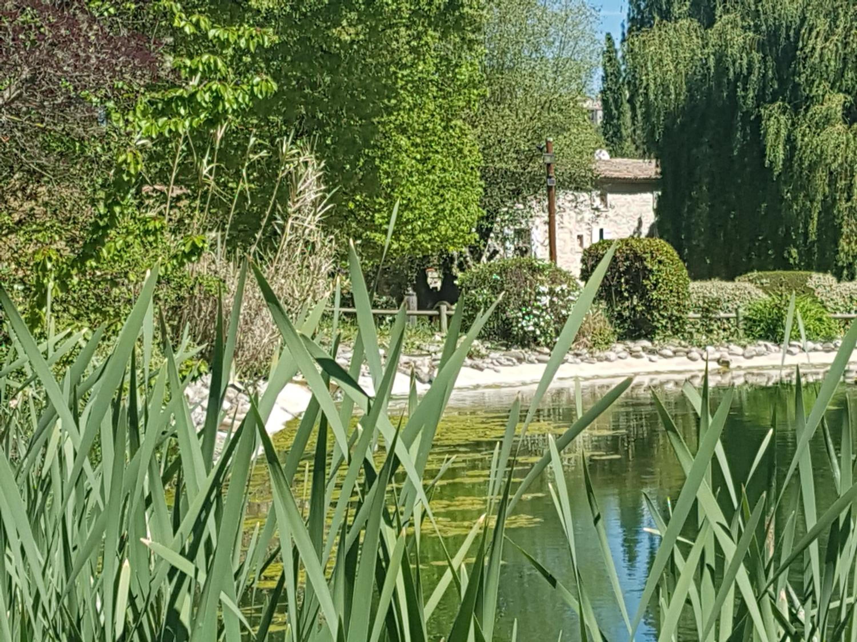 Photo 28