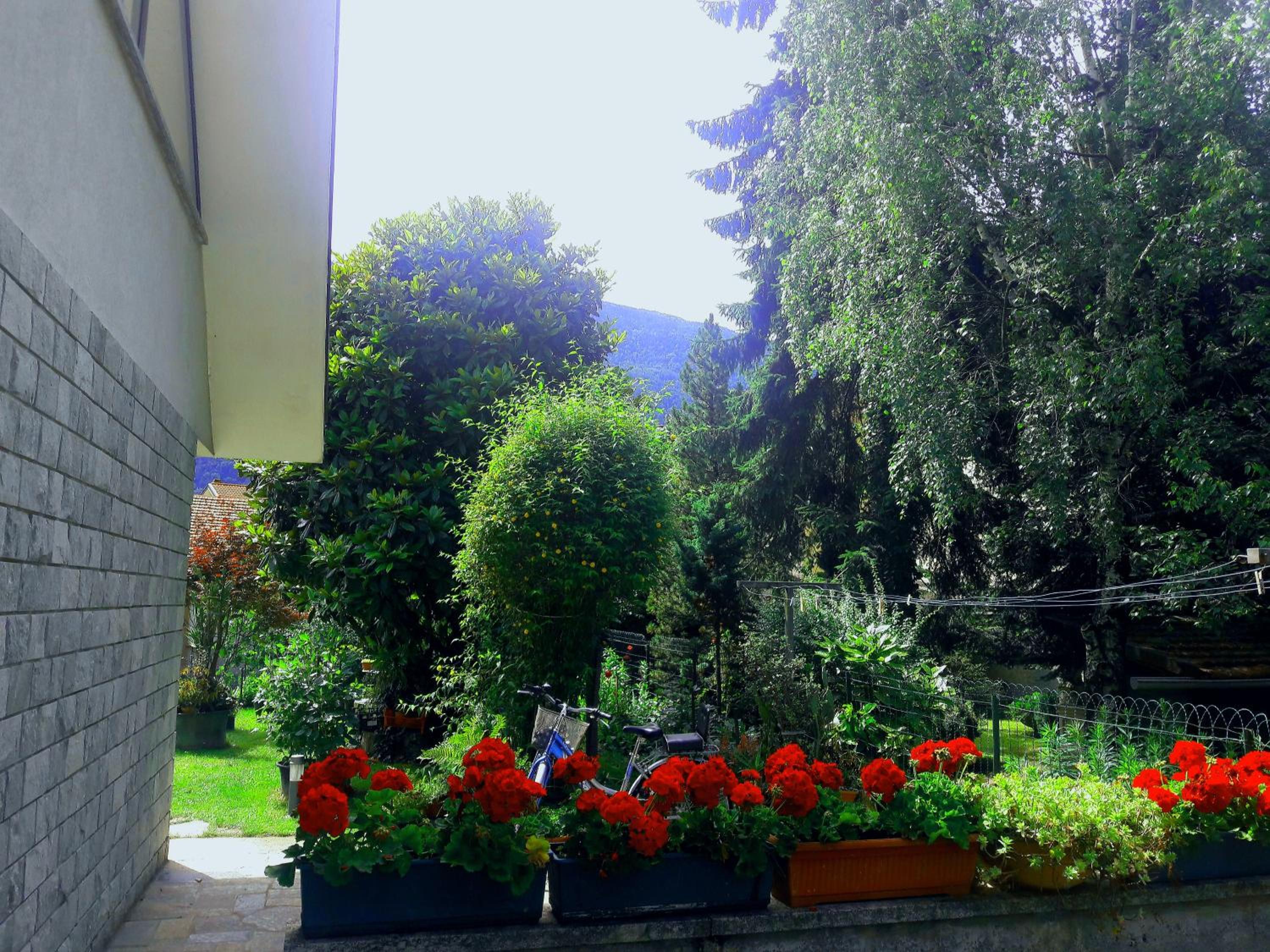 Photo 45