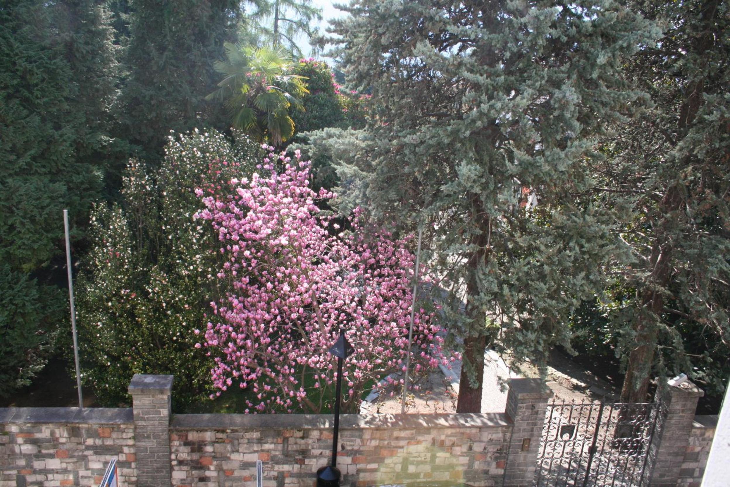 Photo 45