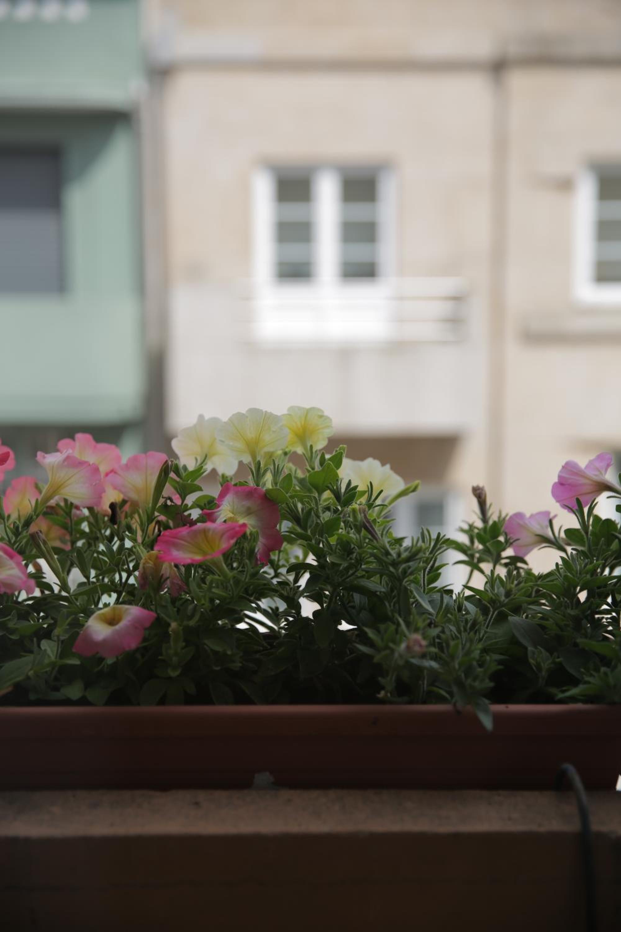 Hotel Braancamp 65 - Image 1