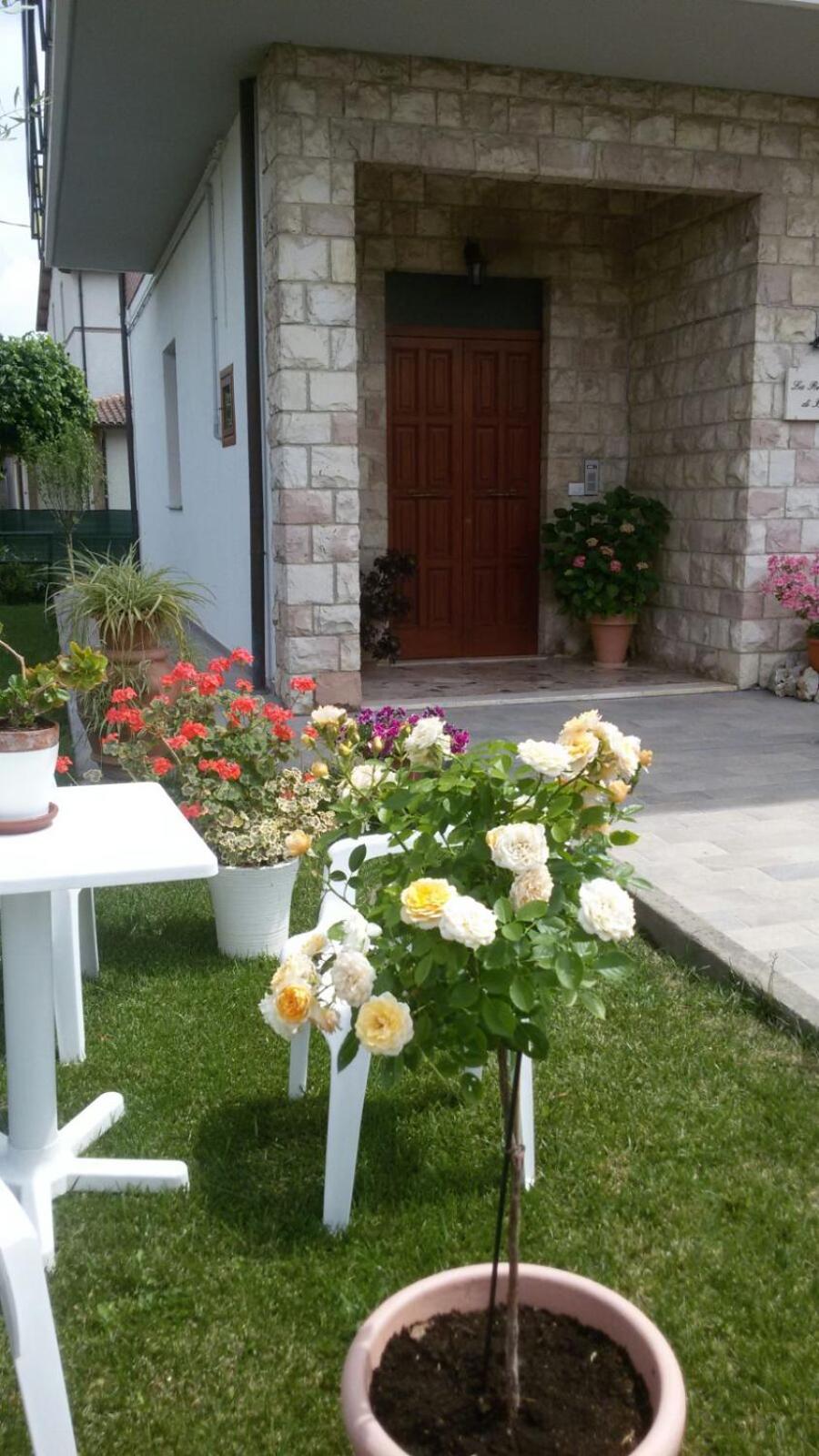 Photo 21