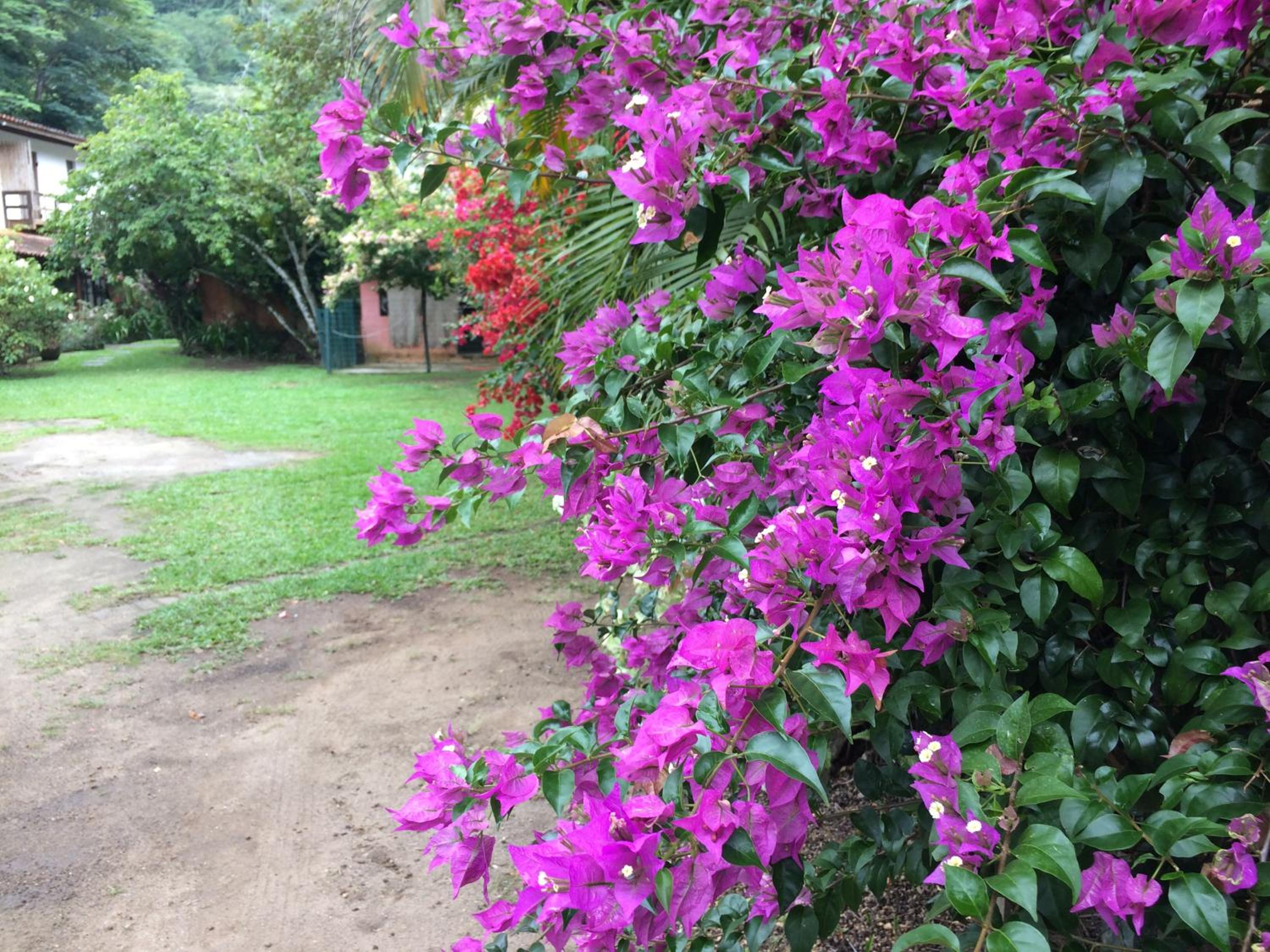 Casa Colonial Térrea no Saco da Capela em Ilhabela