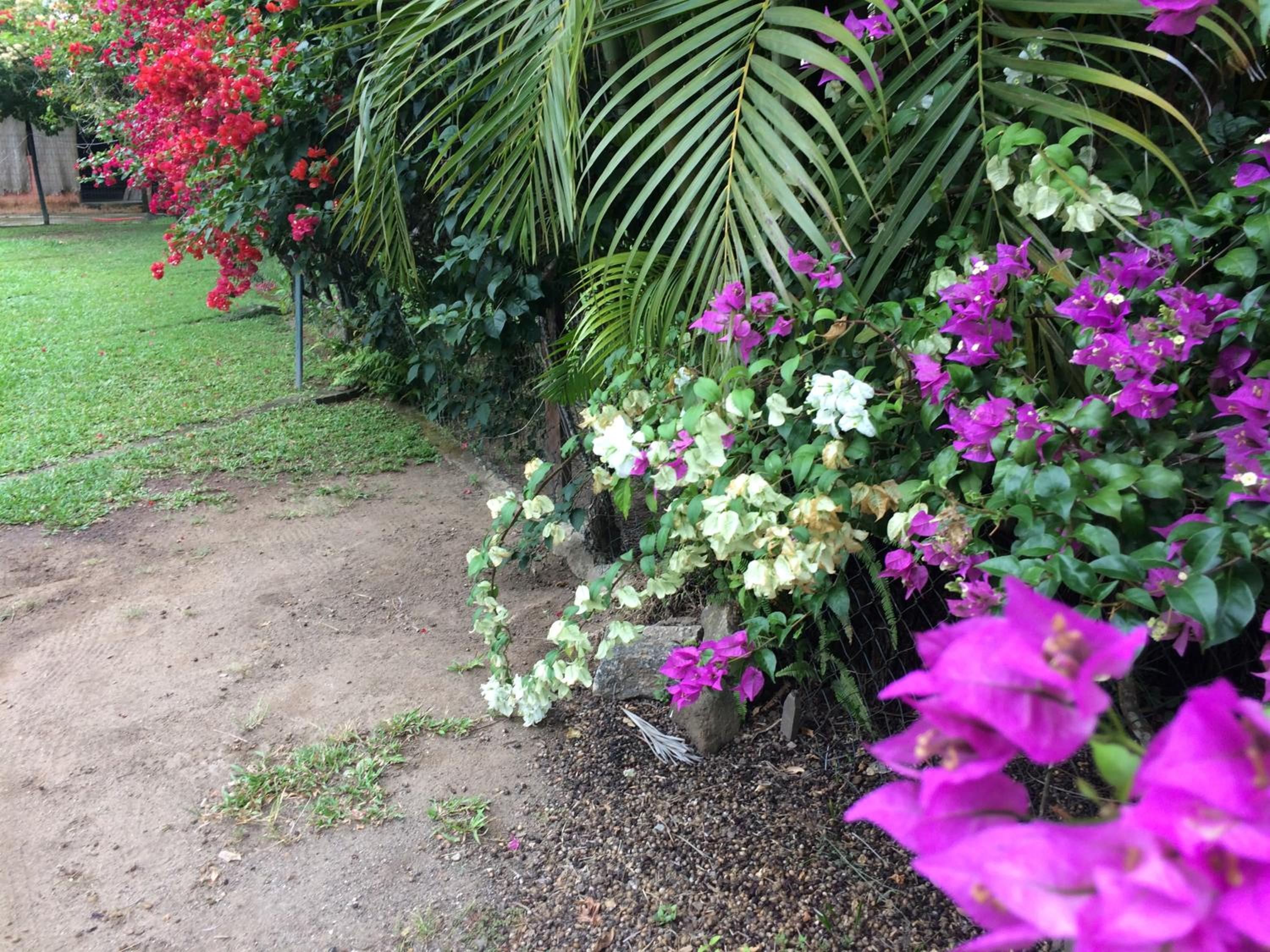 Casa Colonial Térrea no Saco da Capela em Ilhabela