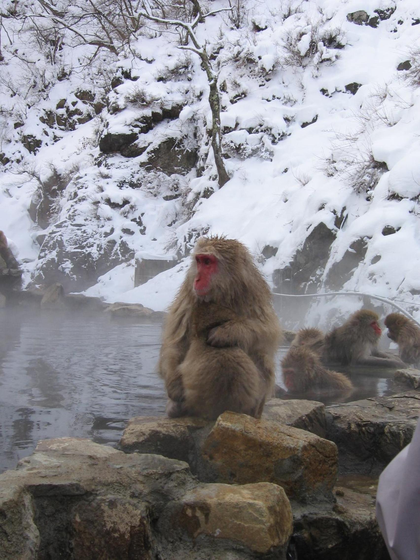 Photo 20
