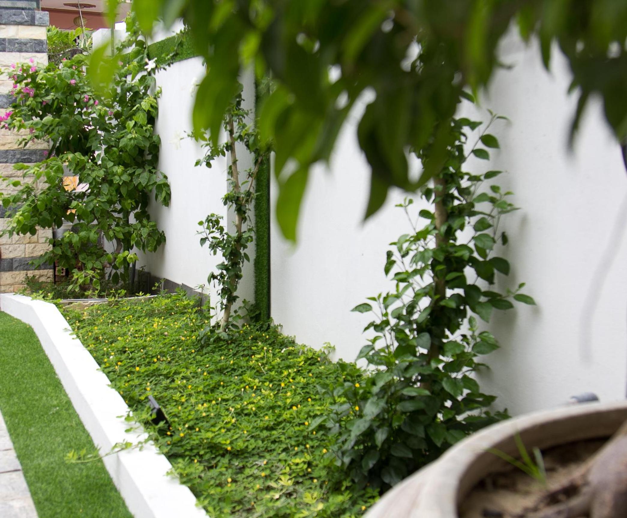 Bean Grass Homestay