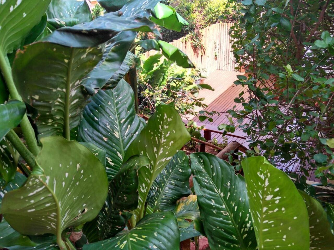 Photo 38