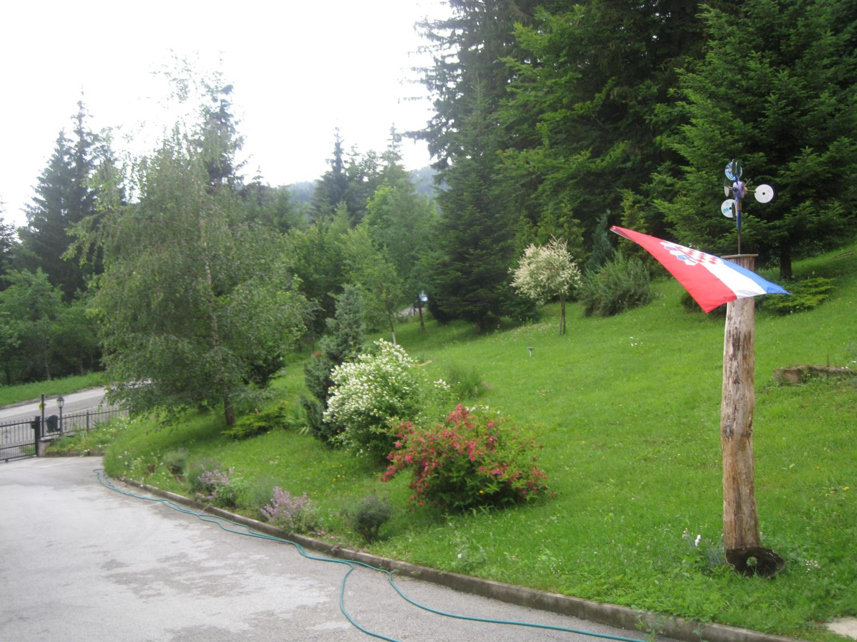 Photo 9