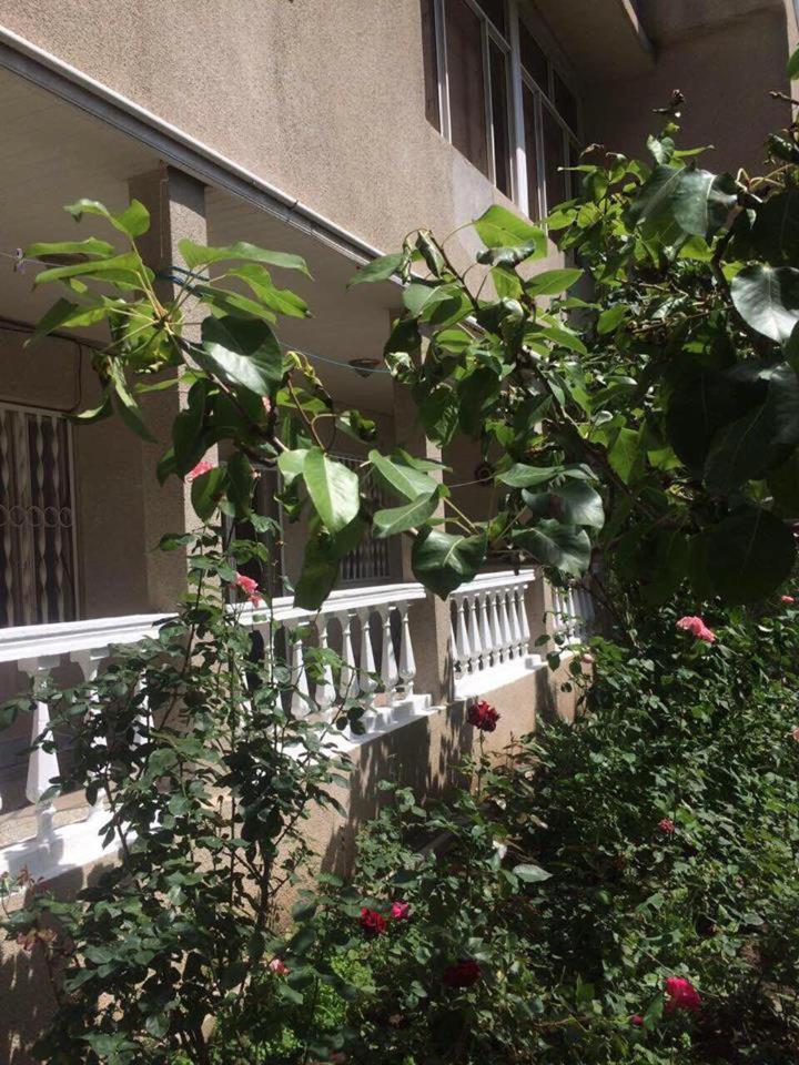 Classic Apartment on Kievyan