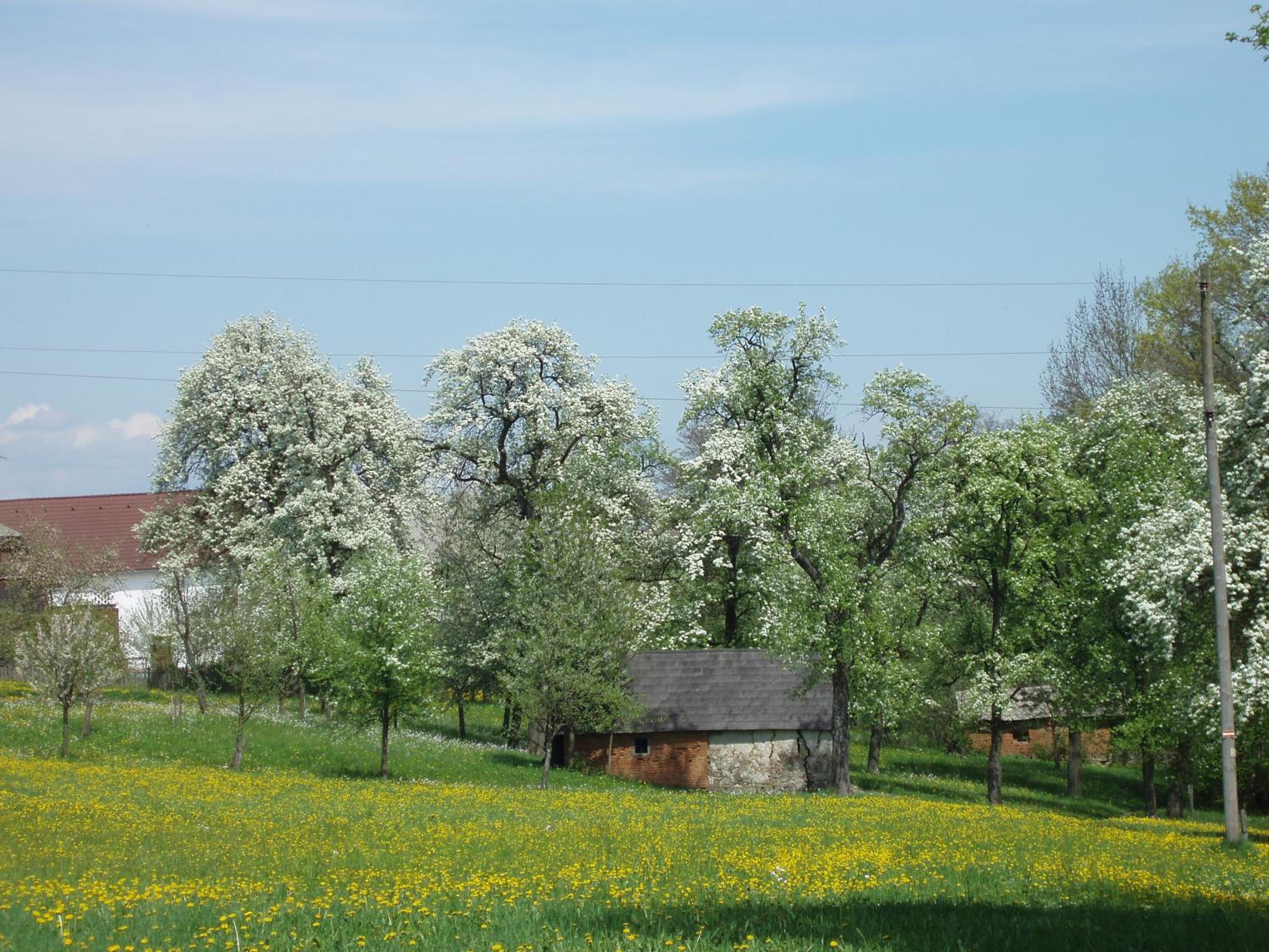 Gasthof Zur Linde