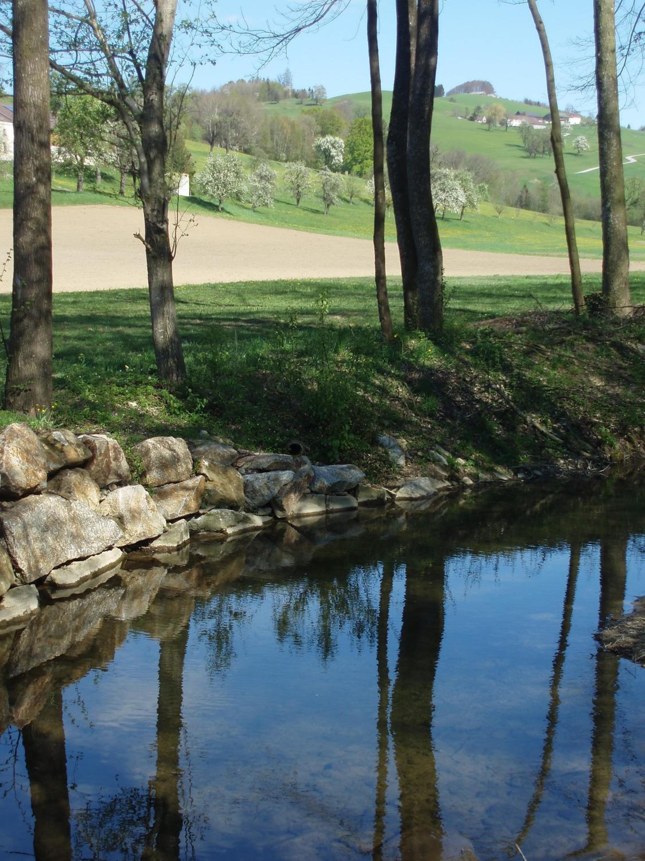 Gasthof Zur Linde