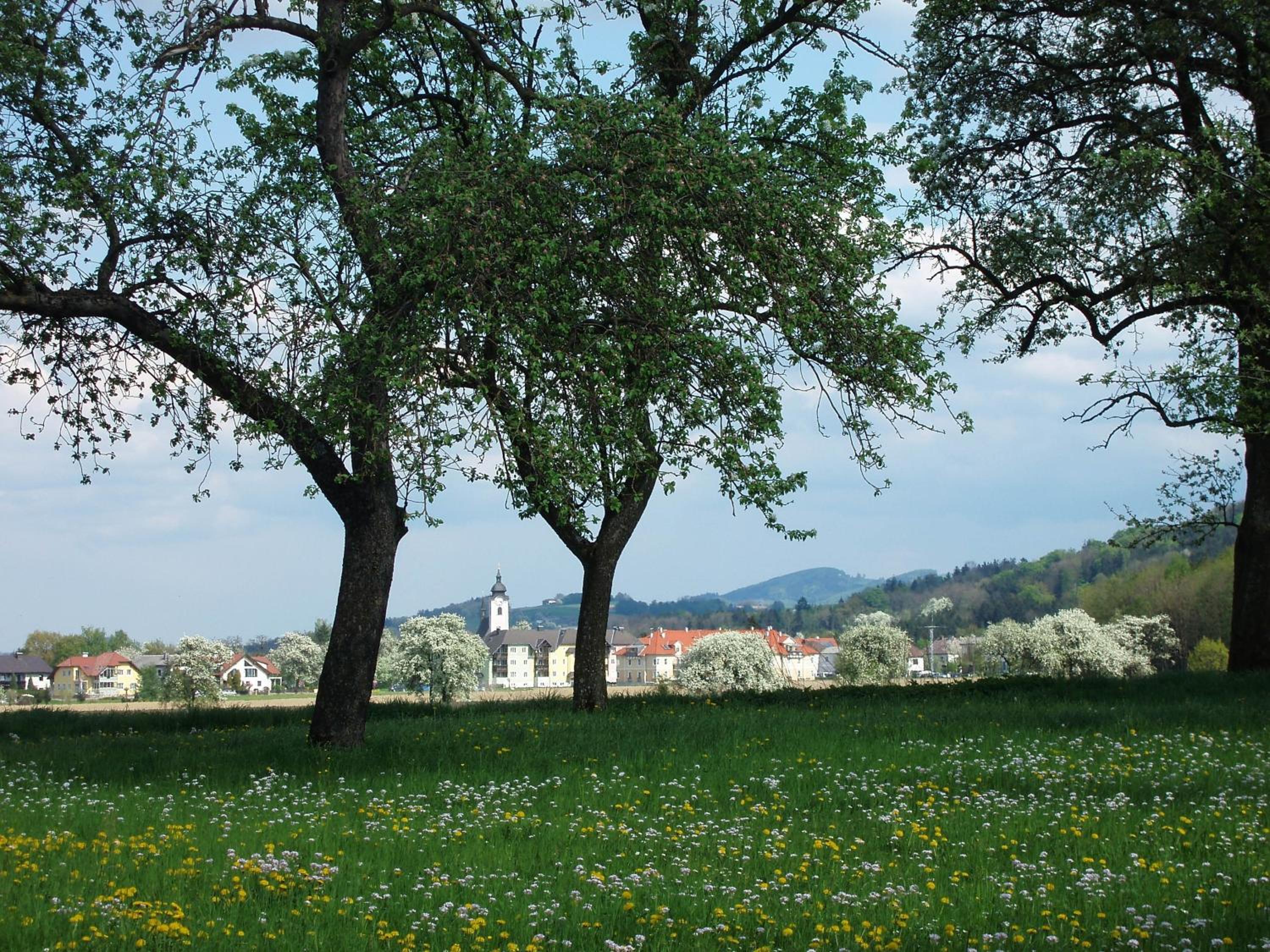 Gasthof Zur Linde