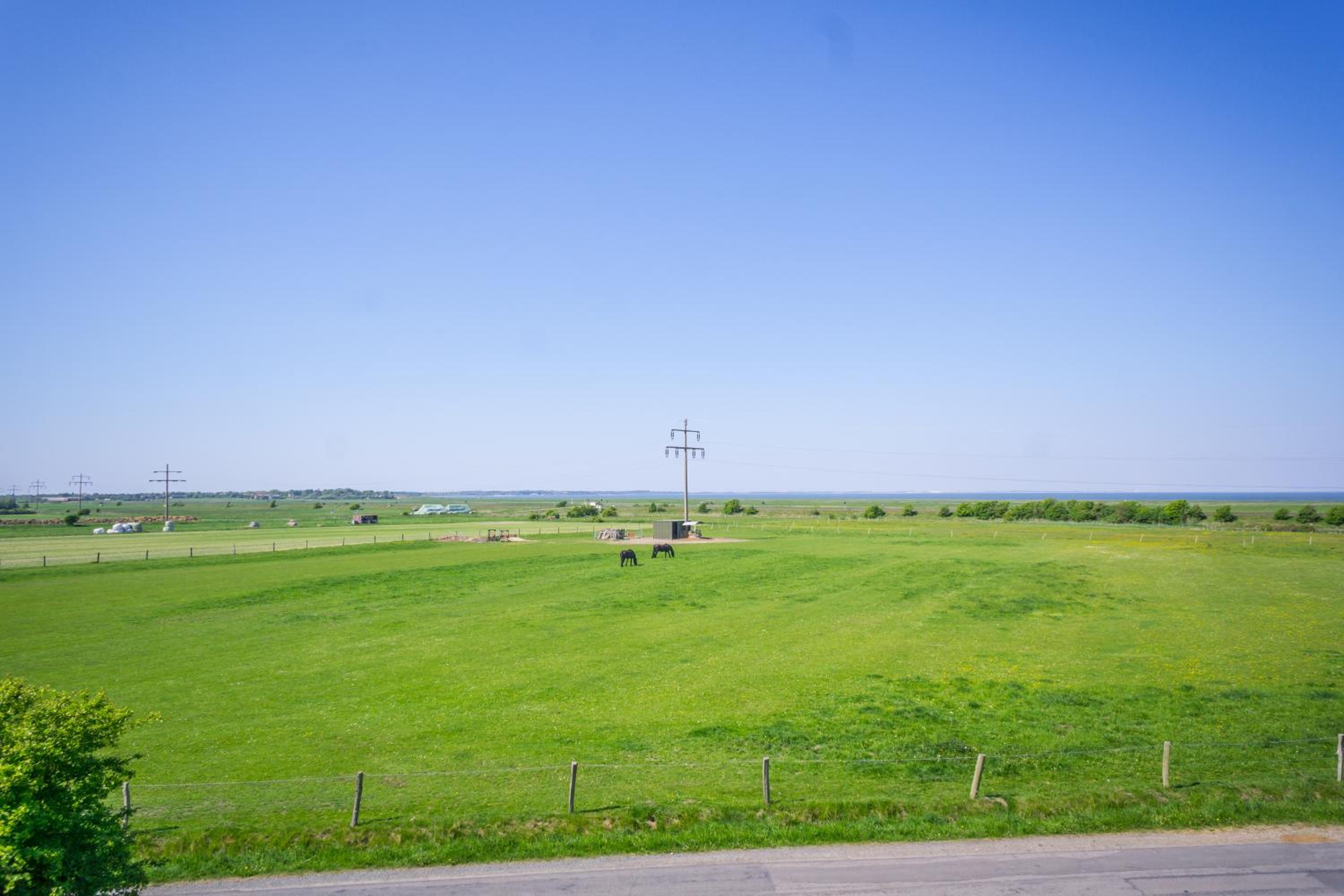 Wildrose OG view 4