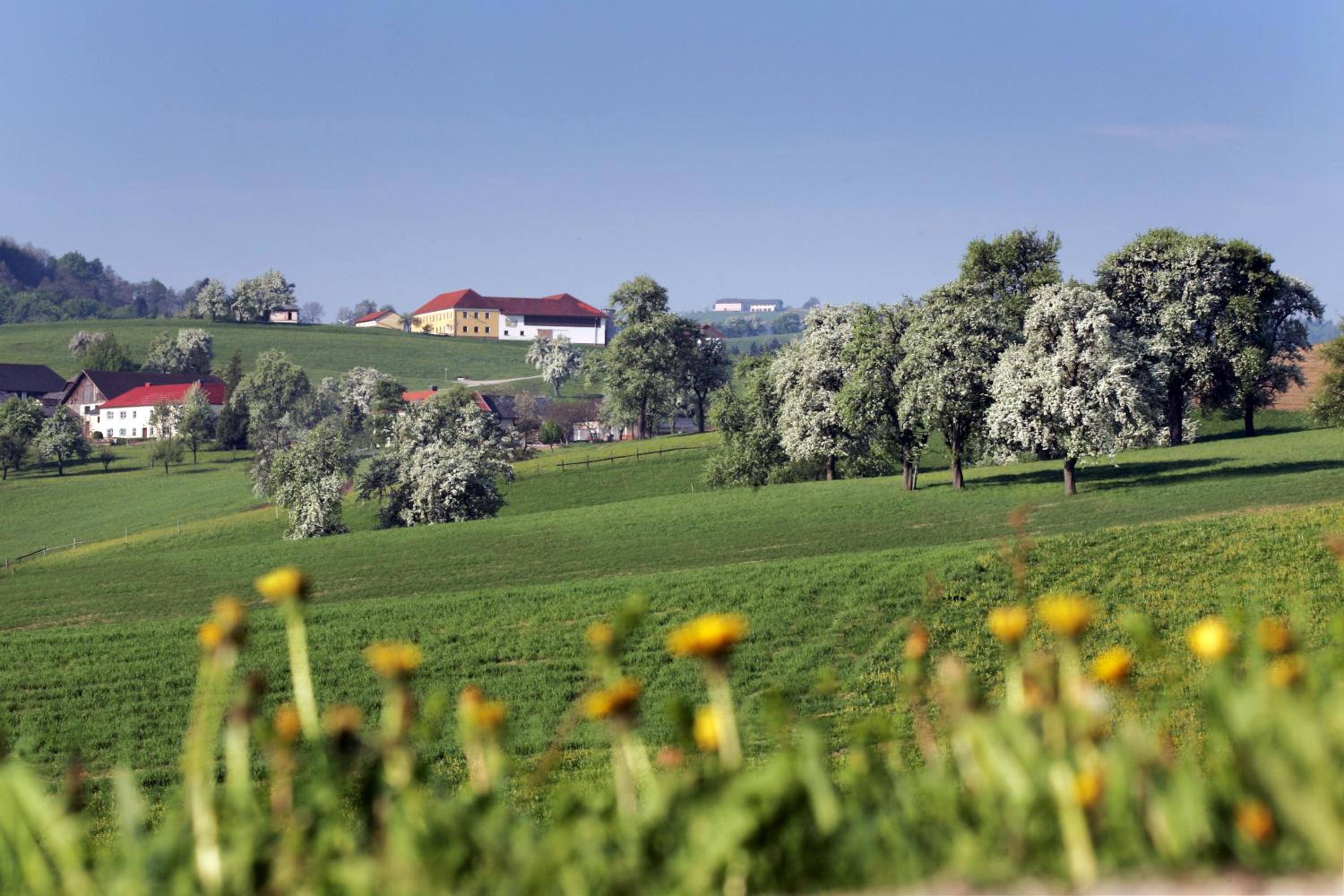 Gasthof Zur Linde