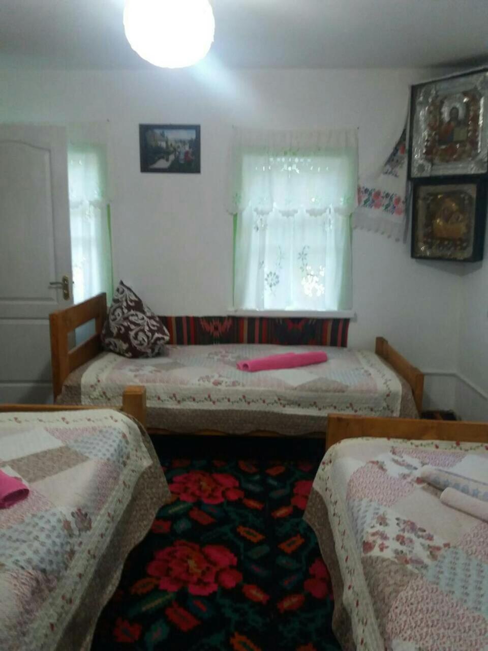 Dykyi Khutir view 5