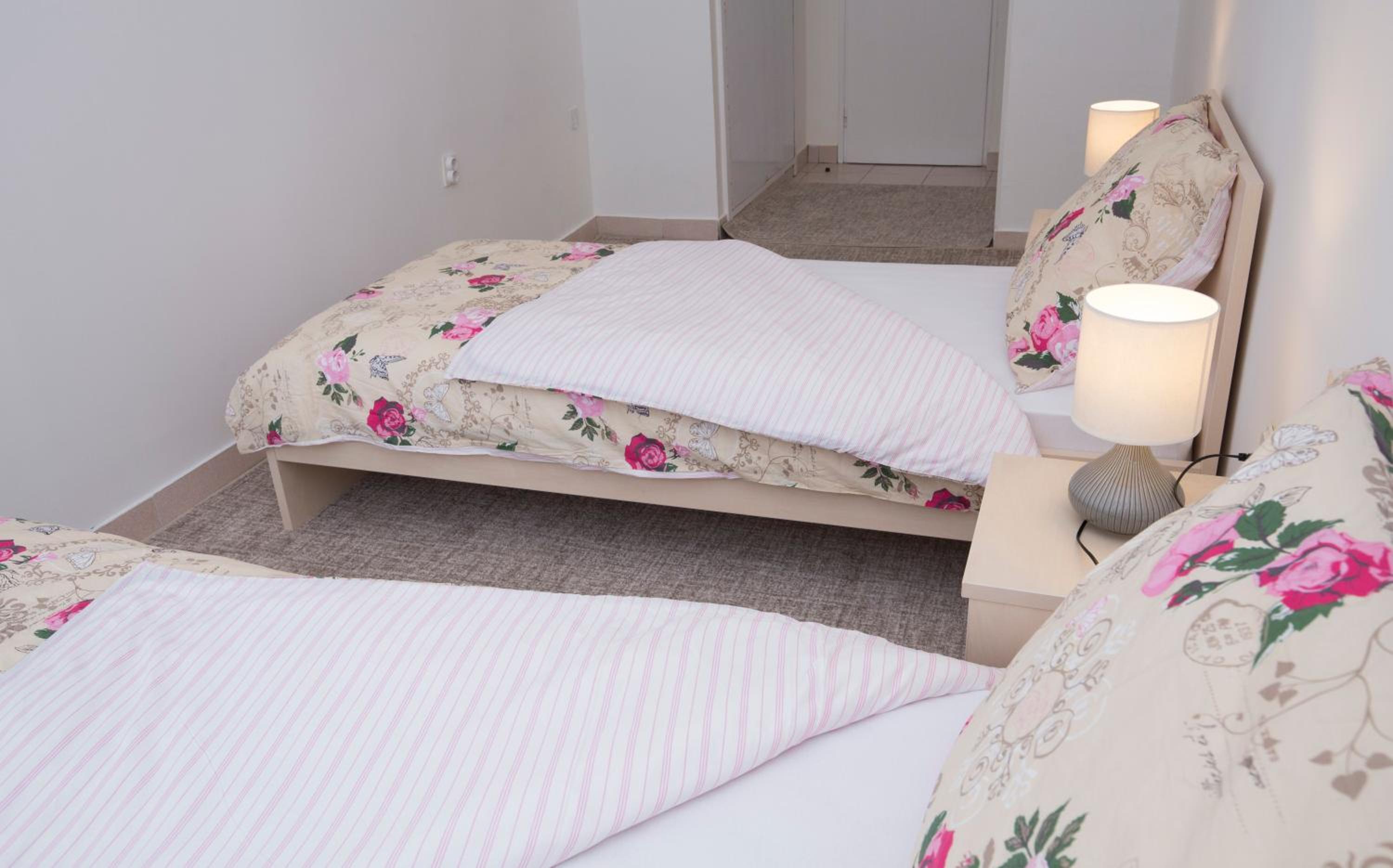 Apartments Put Plokita Smilja photo 5