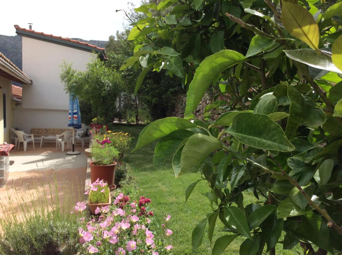Photo 46