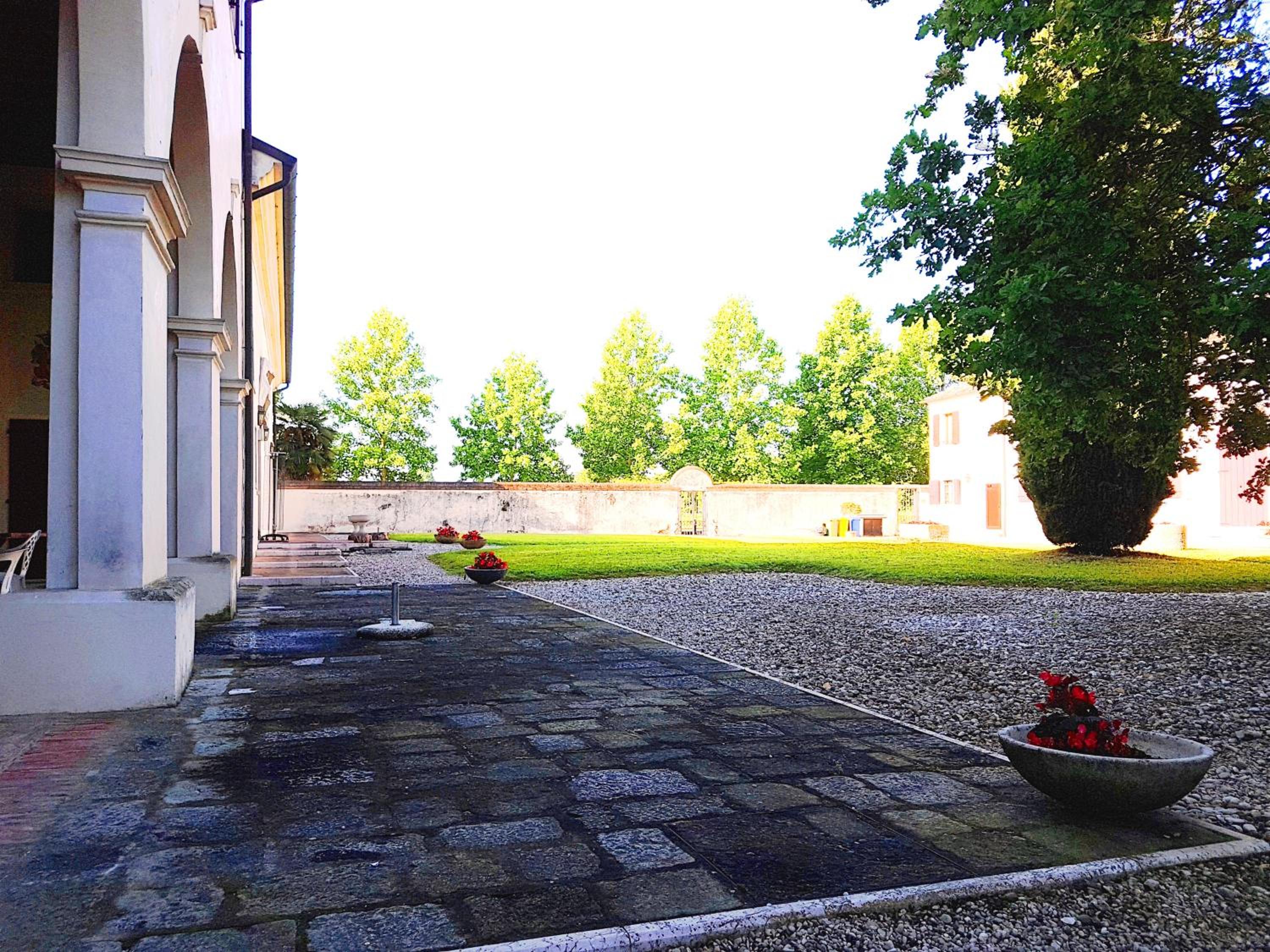 Photo 35