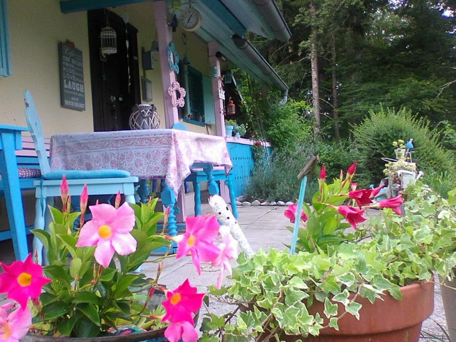 Photo 29