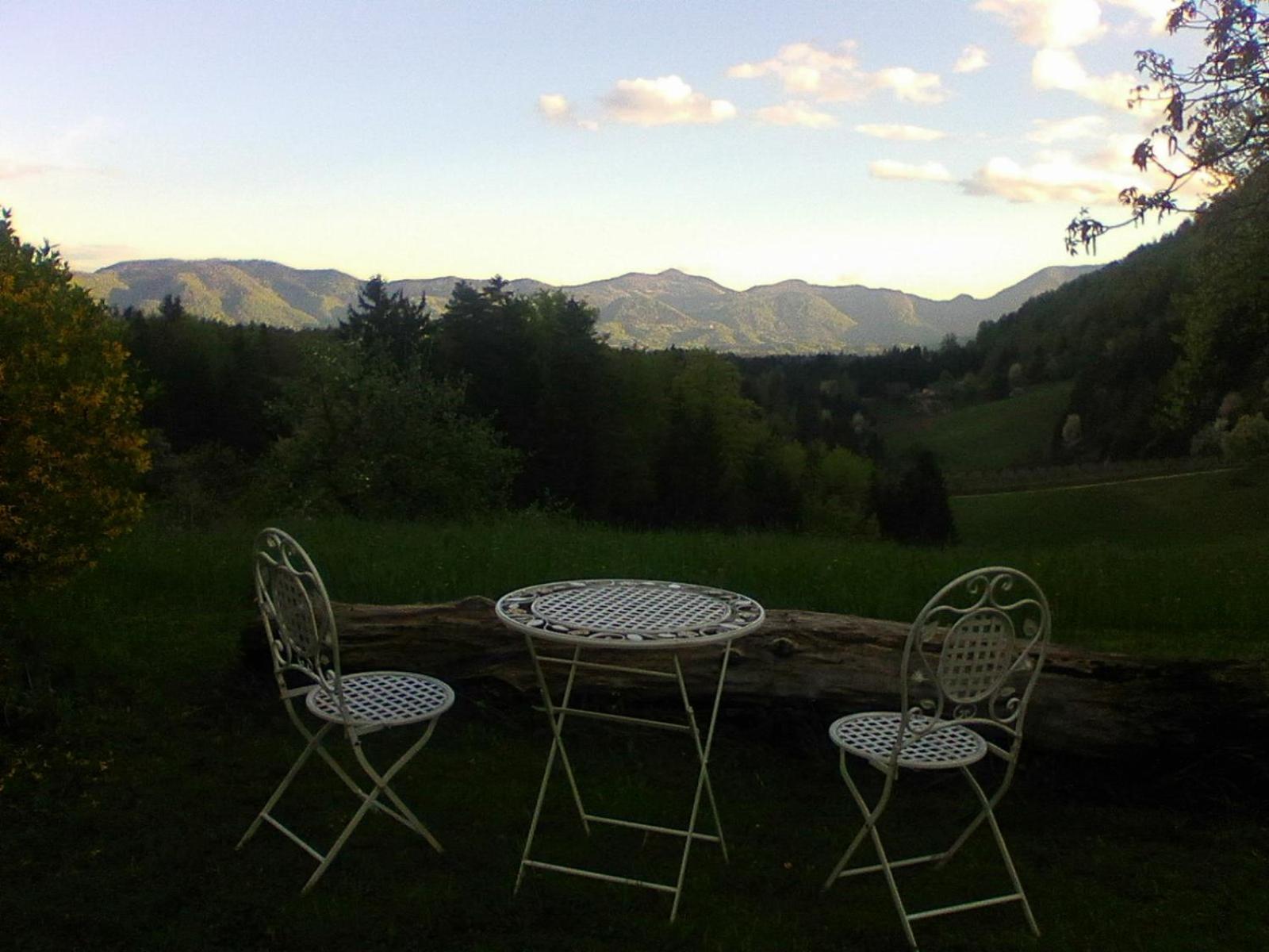 Photo 15