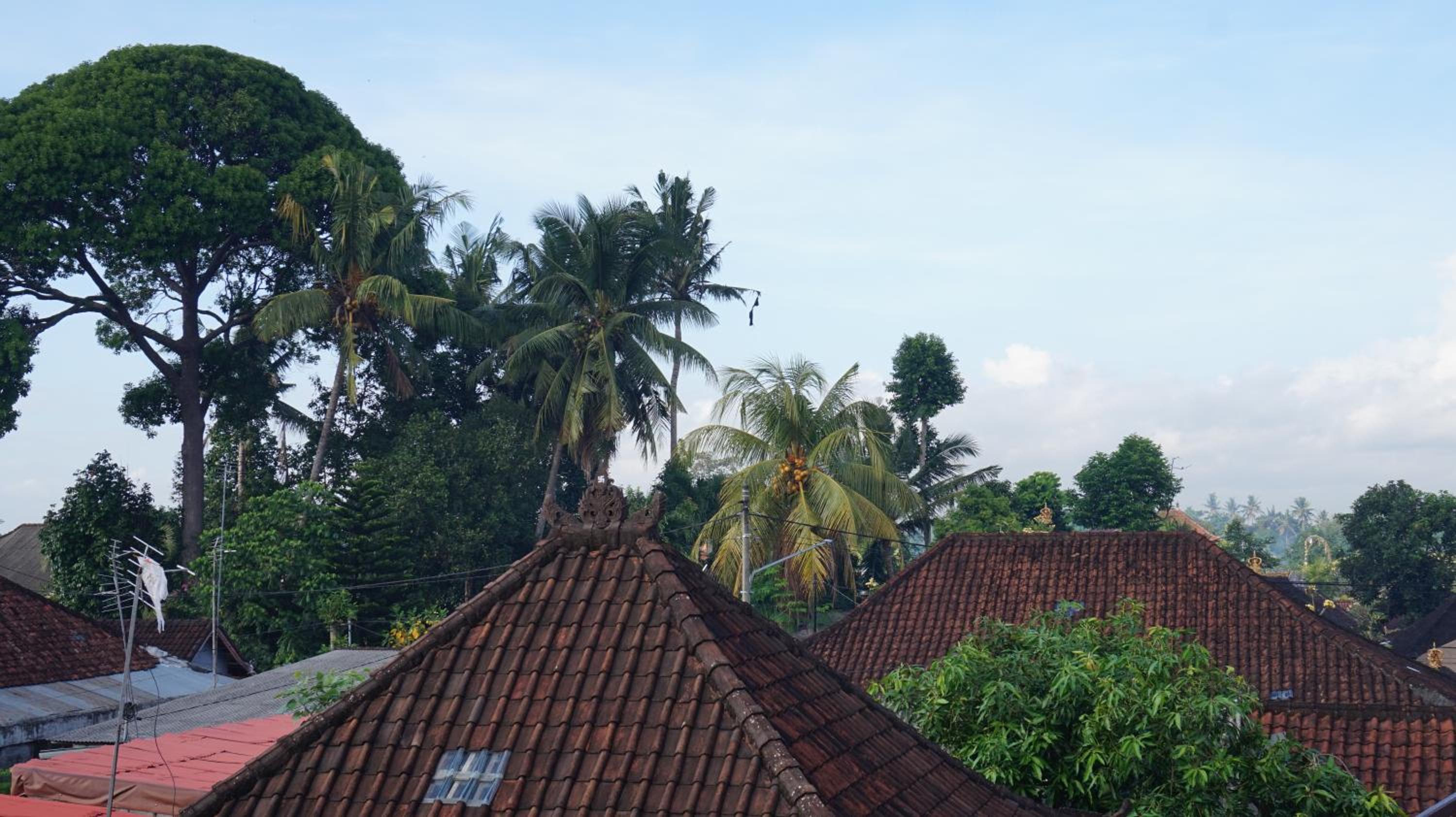 LeGong Guesthouse