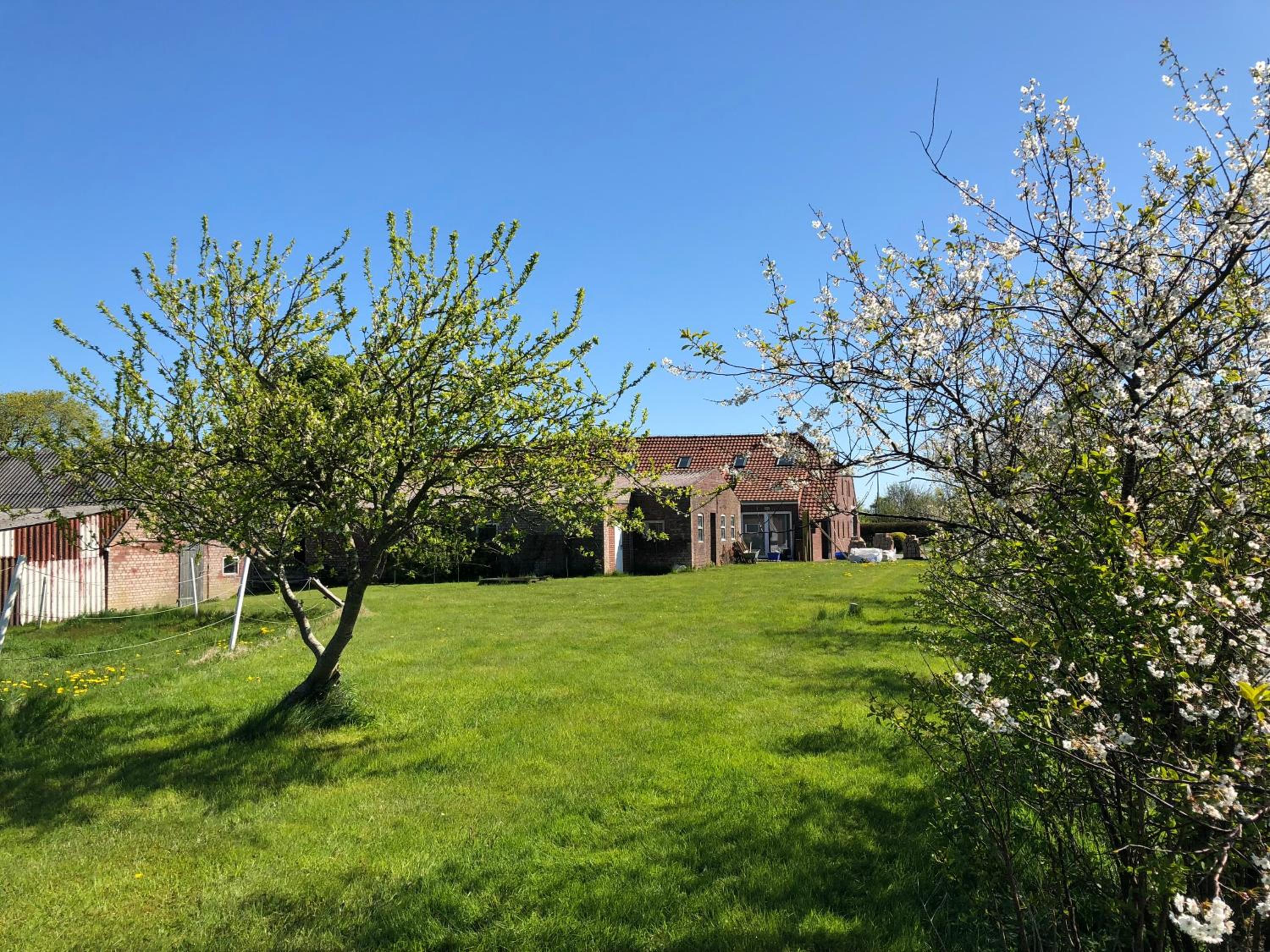 Ferienwohnungen Am Mühlenhügel view 5