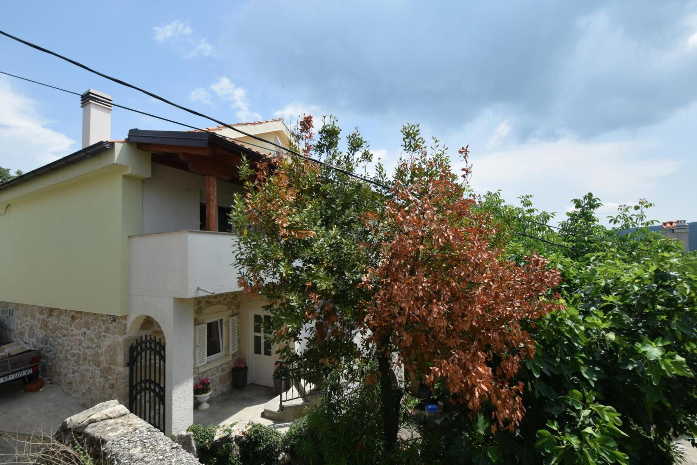 Photo 46
