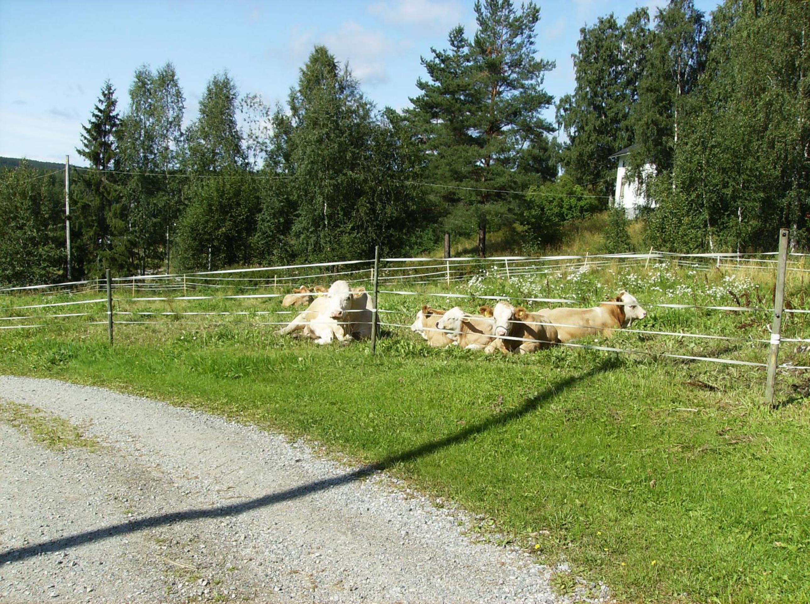Photo 23