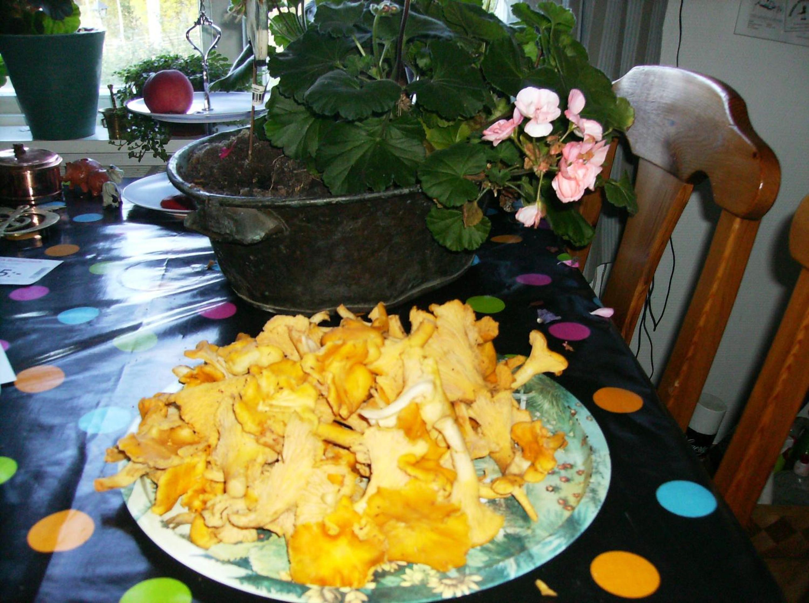 Photo 25