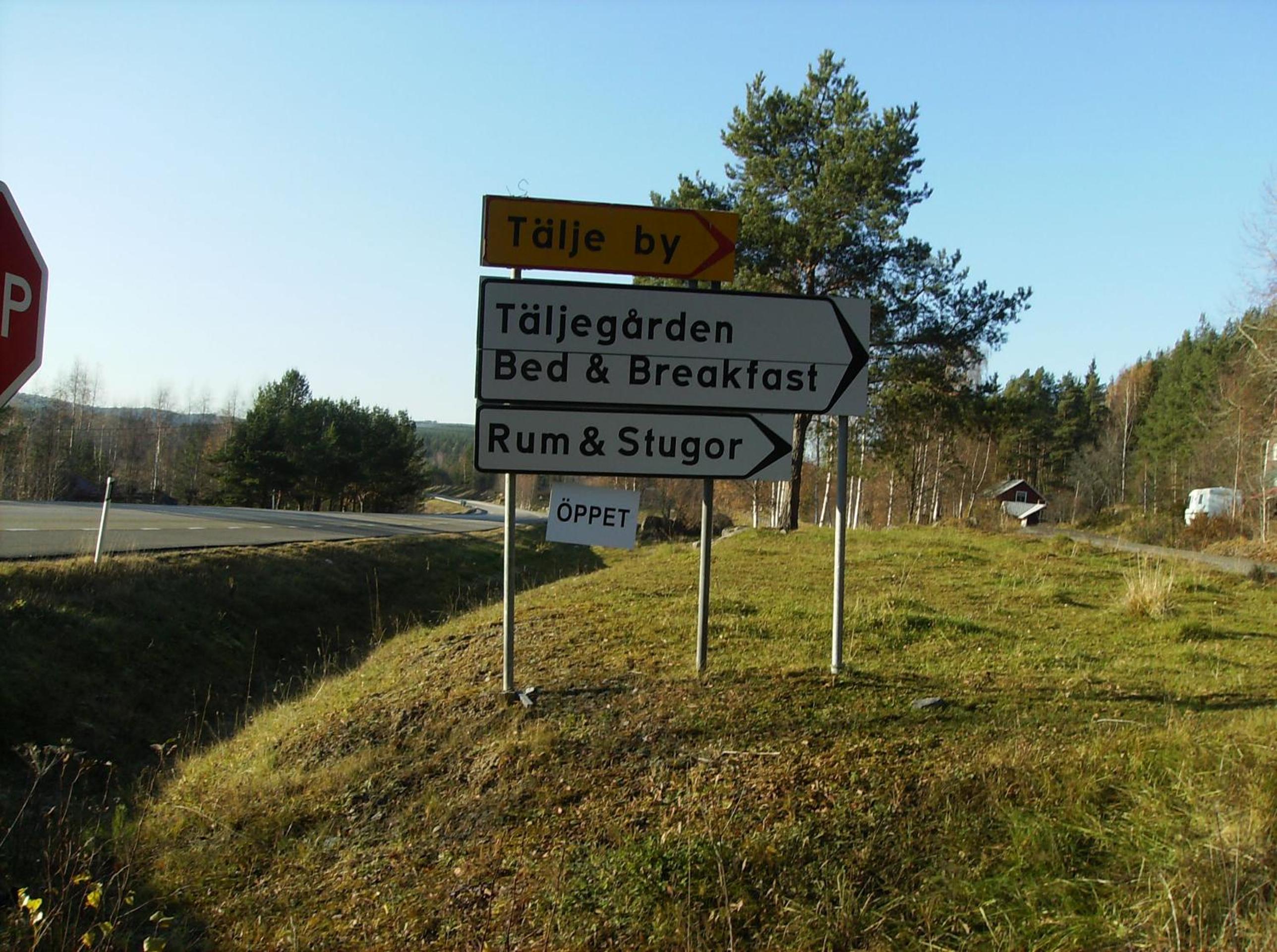 Photo 29