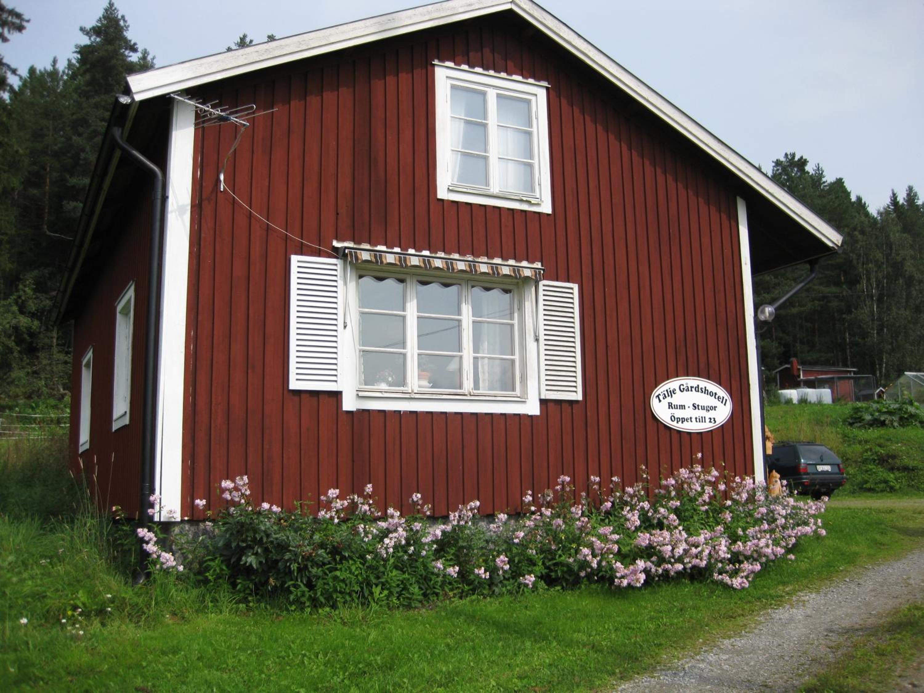 Photo 13