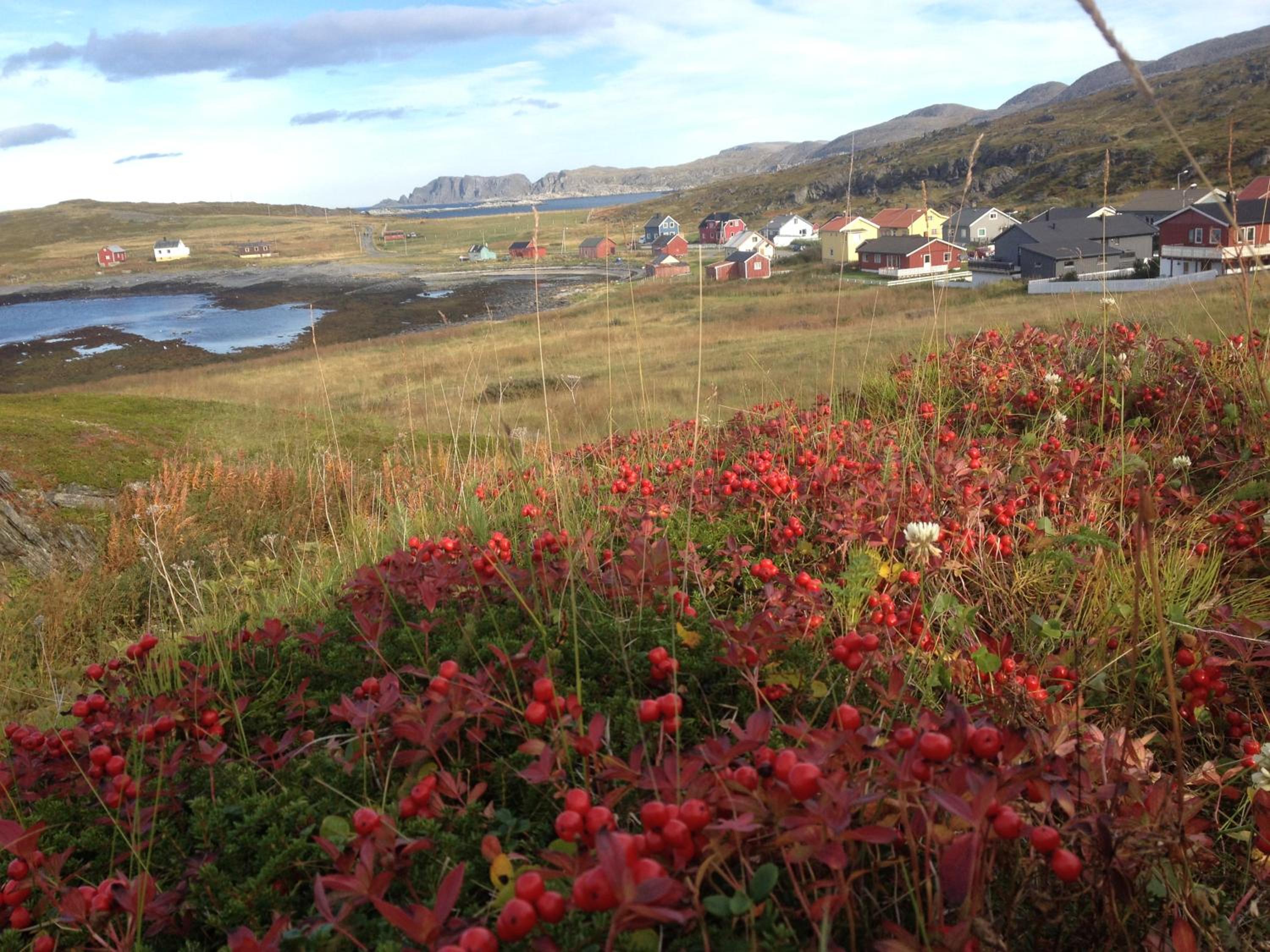 Blue House I at the end of the World view 5