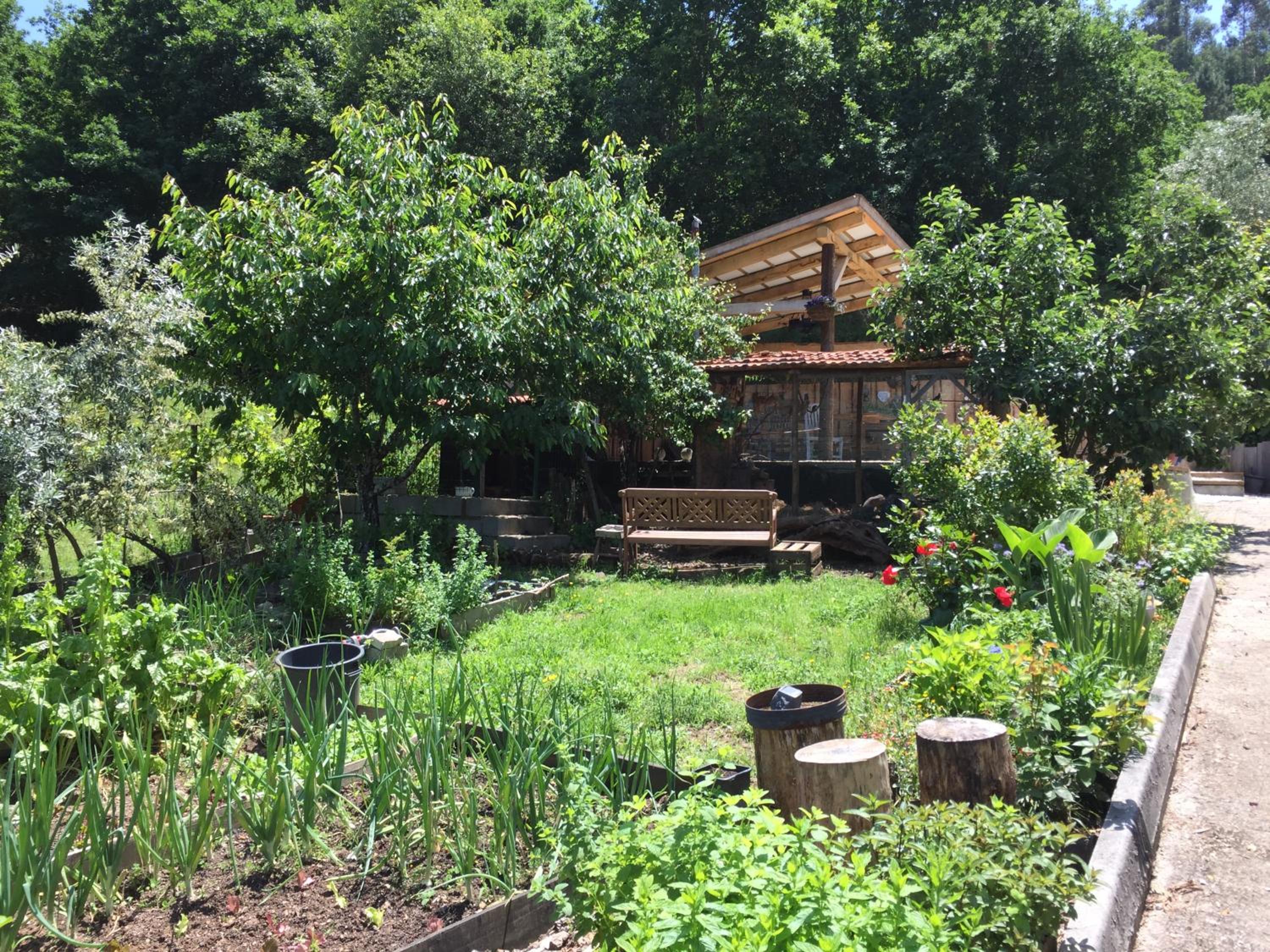 Casa Traca, photo 70