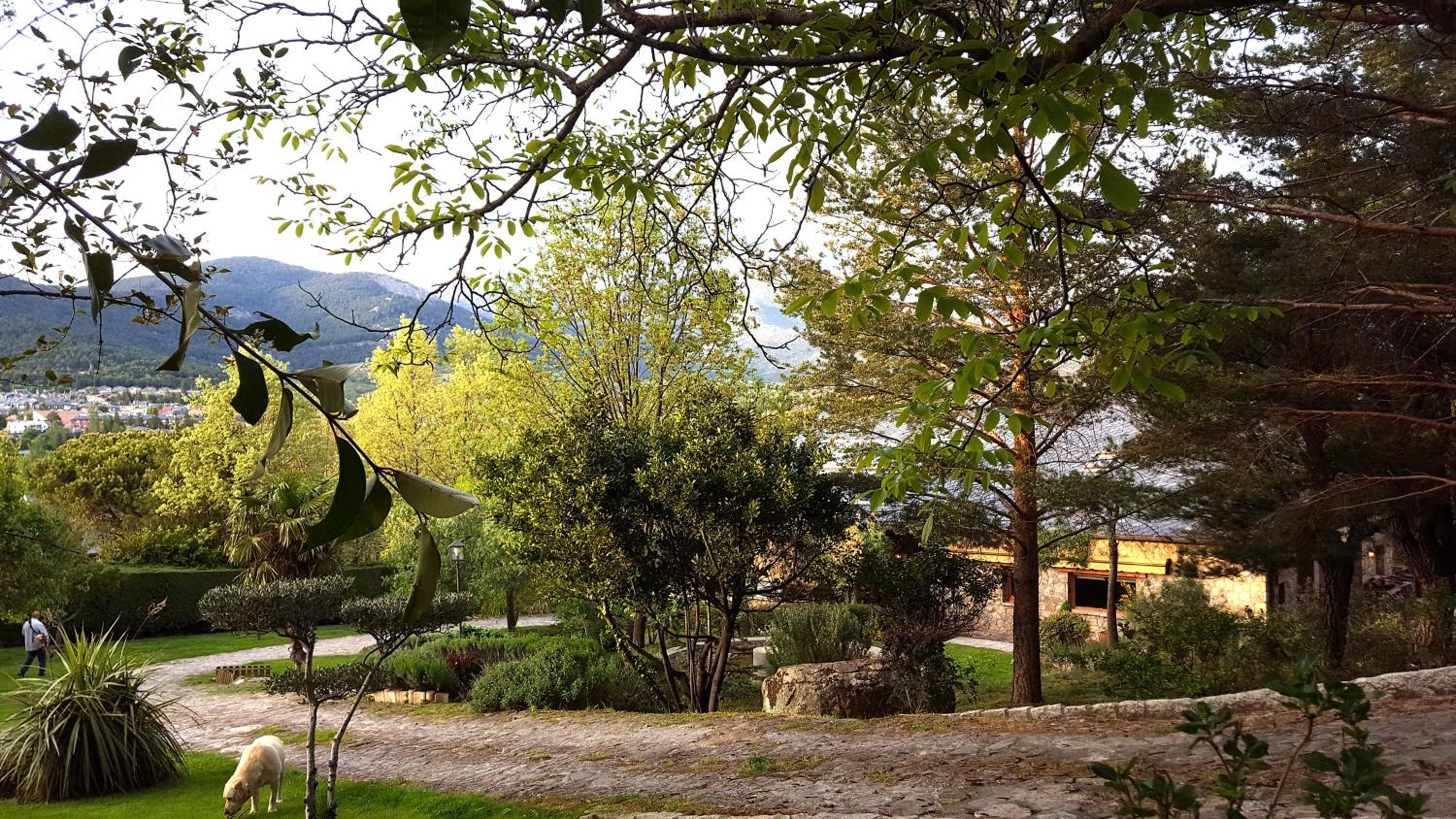 Casa Bonita Navacerrada view 5